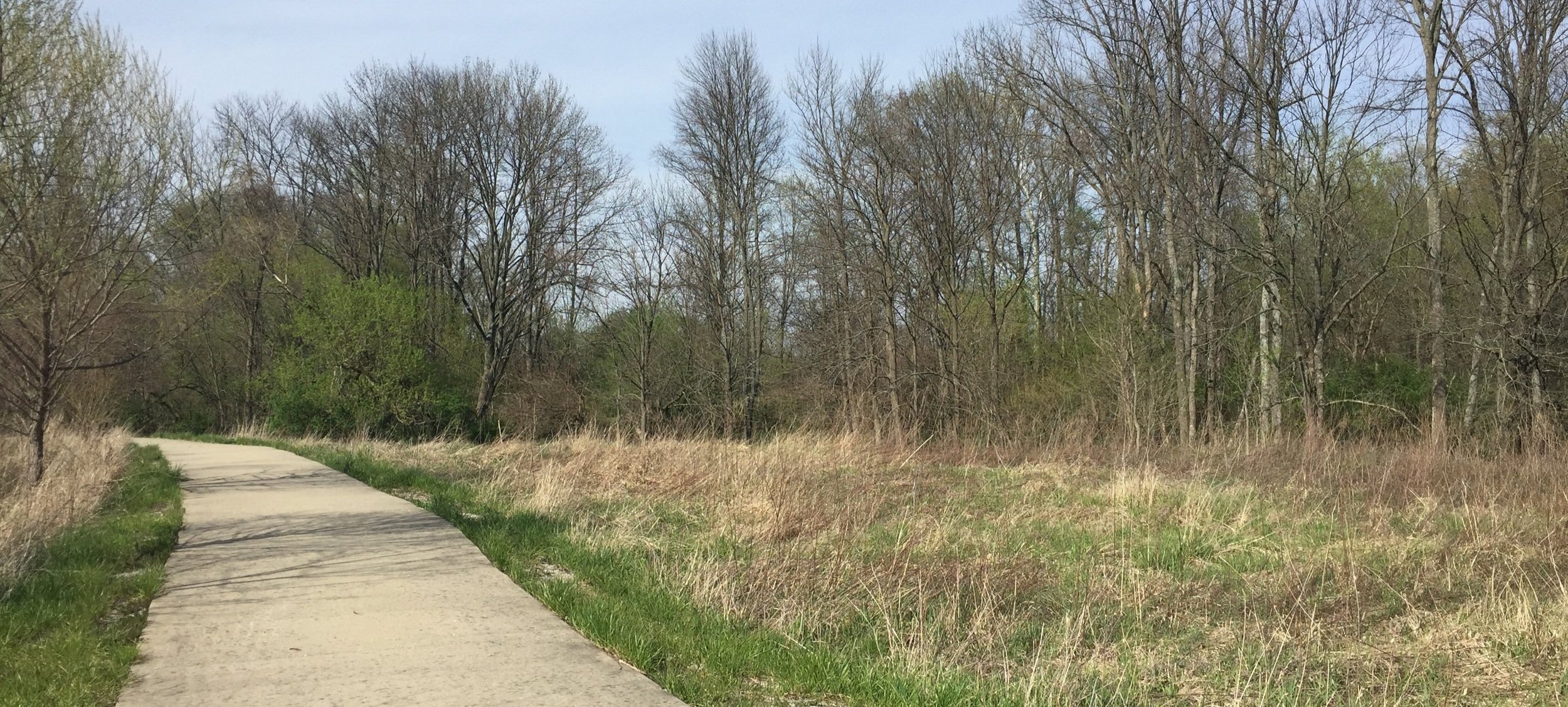 October Pop-up Hike at Flatwoods Park