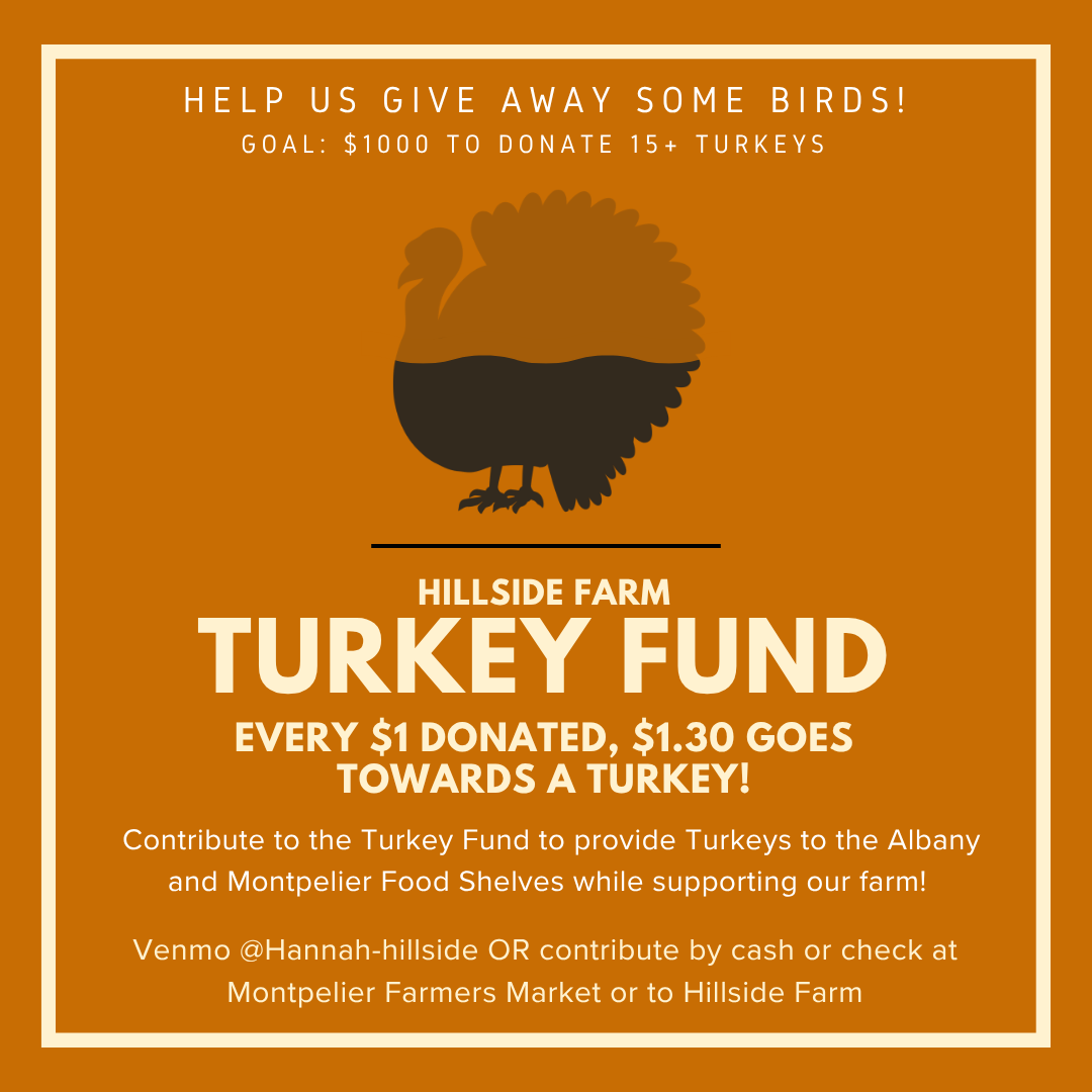 Turkey Fund.png
