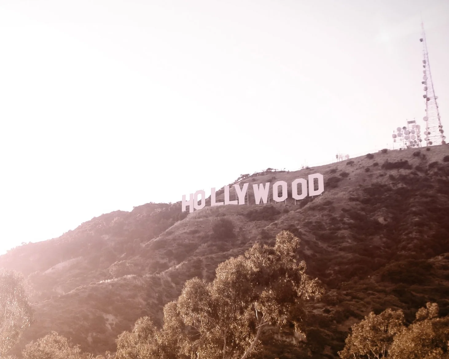 Celebrity Estate Planning: The Good, the Bad, and the Ugly