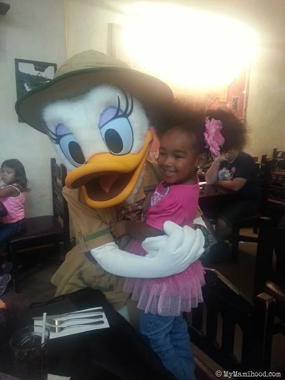 Daisy.jpg