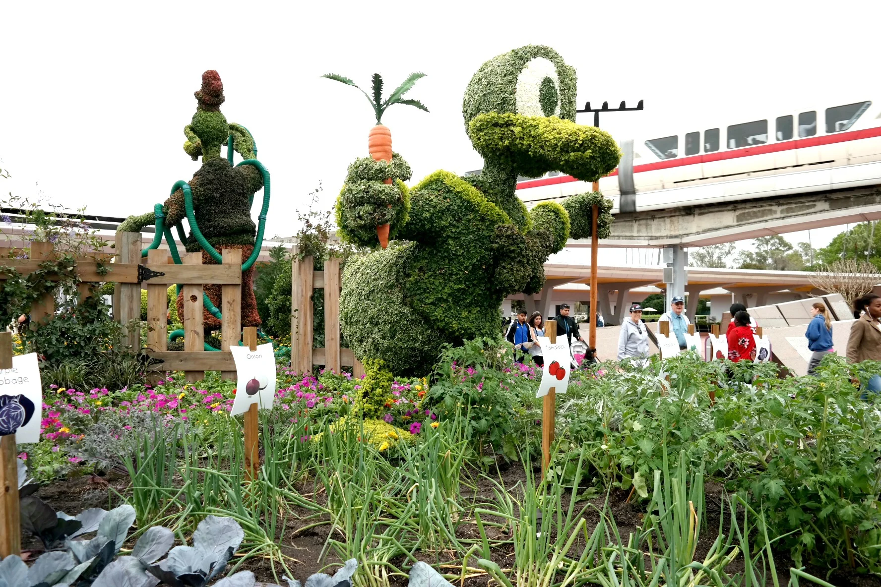 Epcot_Donald_Veggies_Rev.jpg