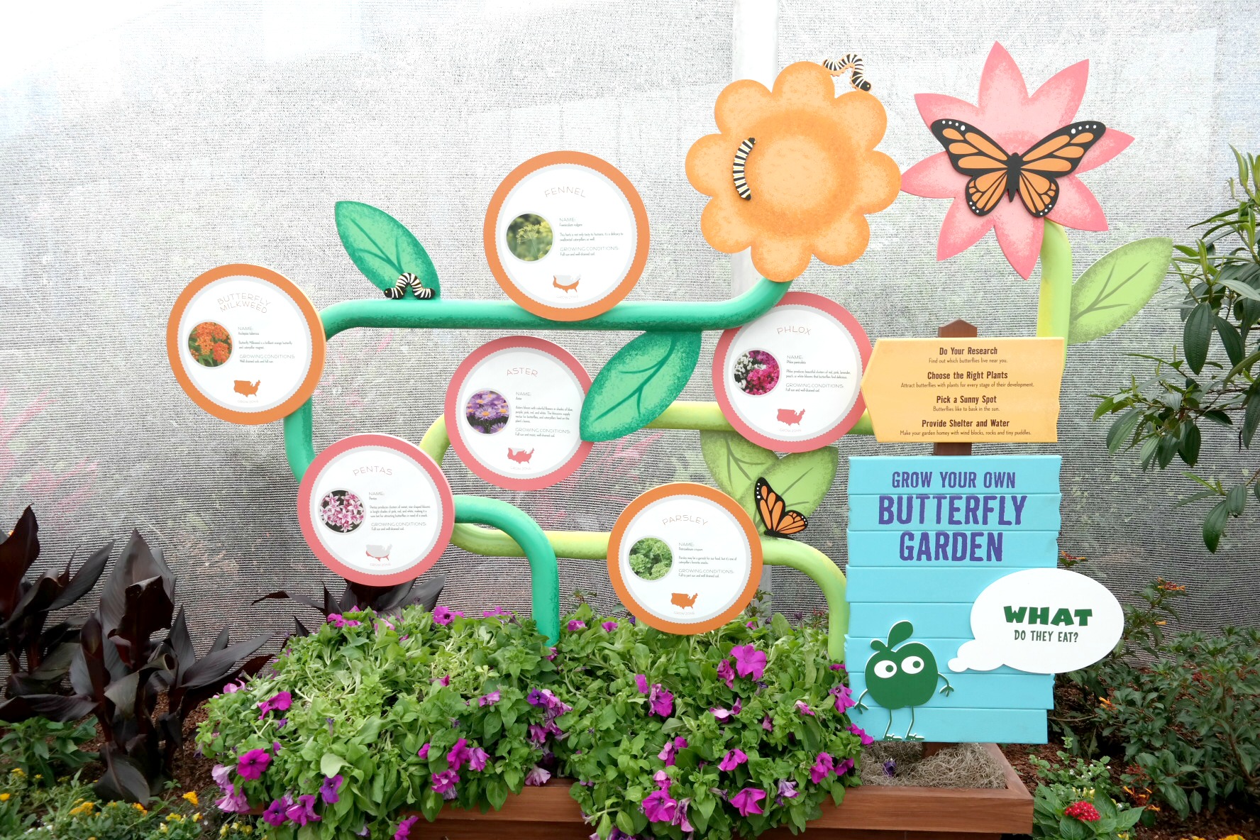 Butterfly_Garden_Instructions_Rev.jpg