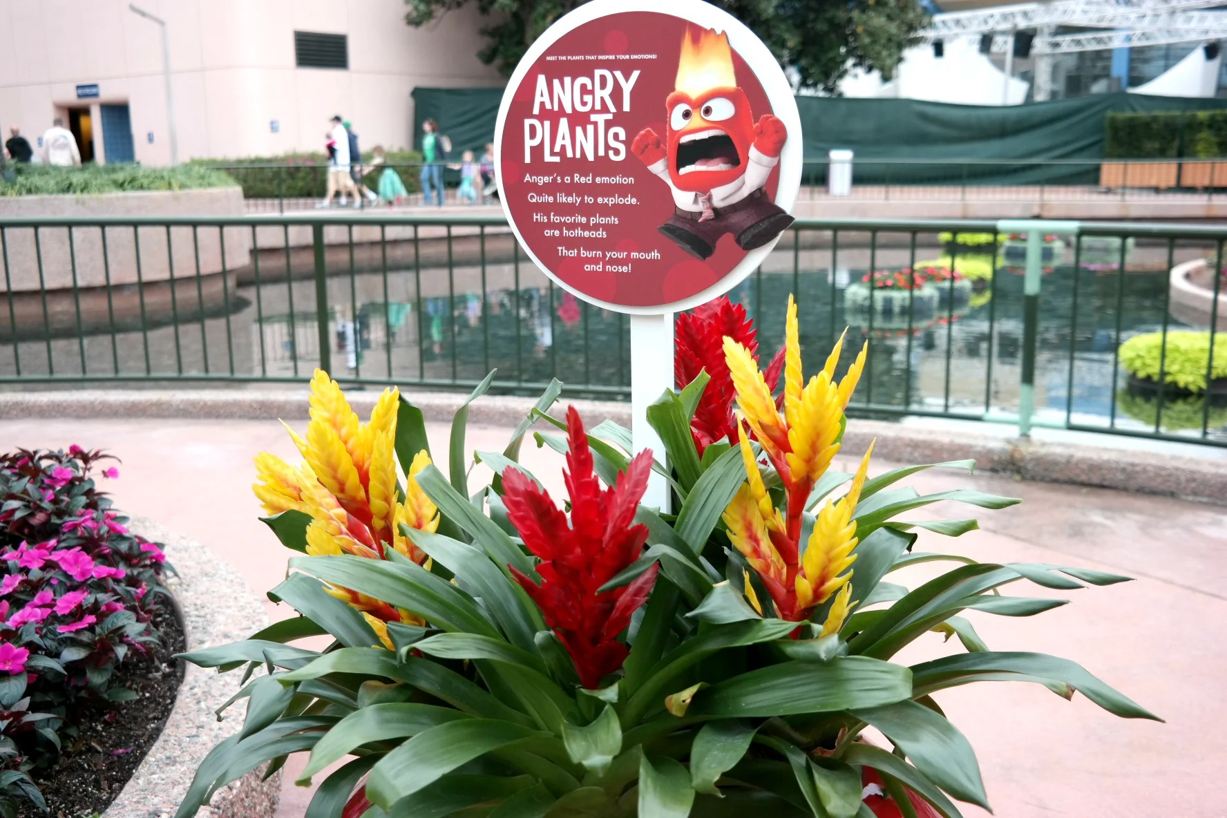 Epcot_Angry_Plants.jpg