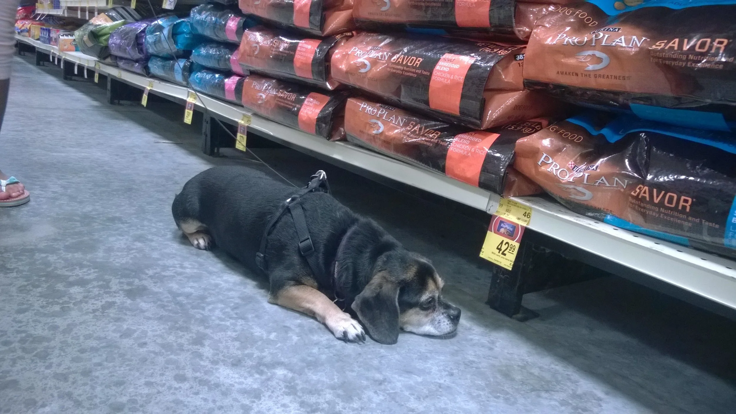 Chico_Aisle.jpg