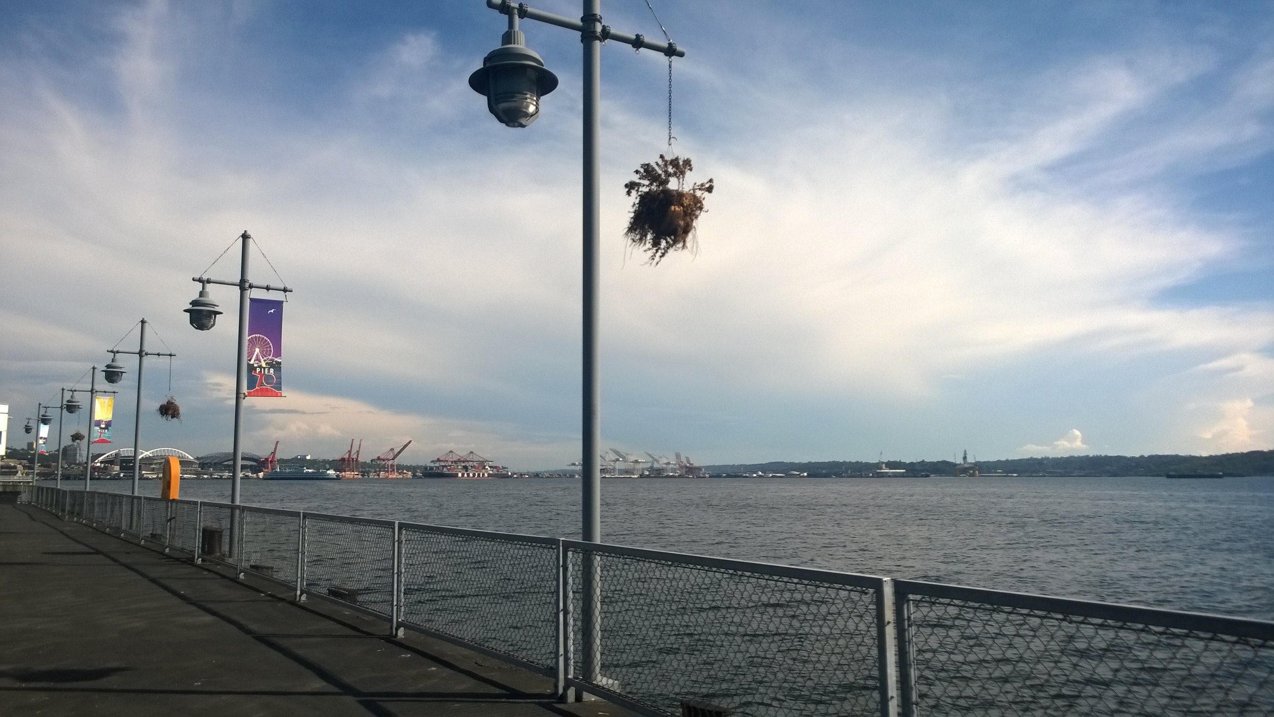 Seattle_Pier_Shot.jpg