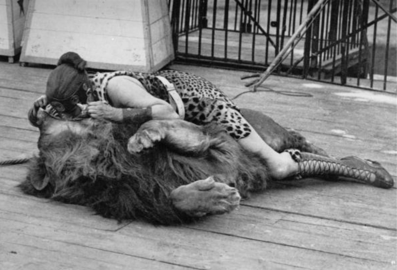 LionTamer.jpg