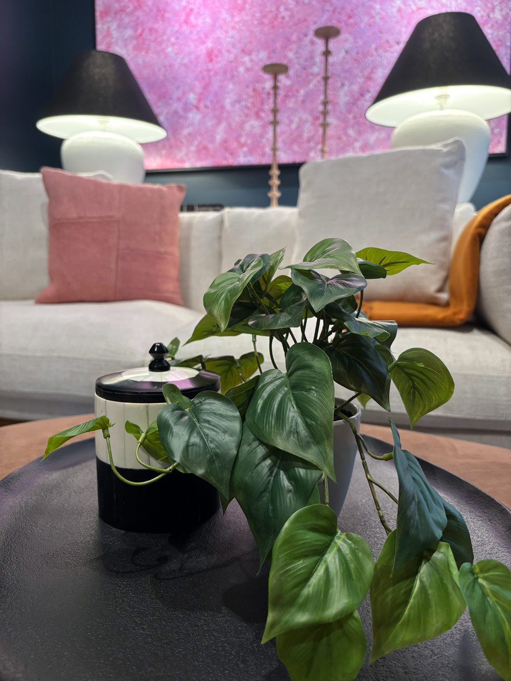 Green plant on black coffee table with sofa lamps and pink indigenous art behind