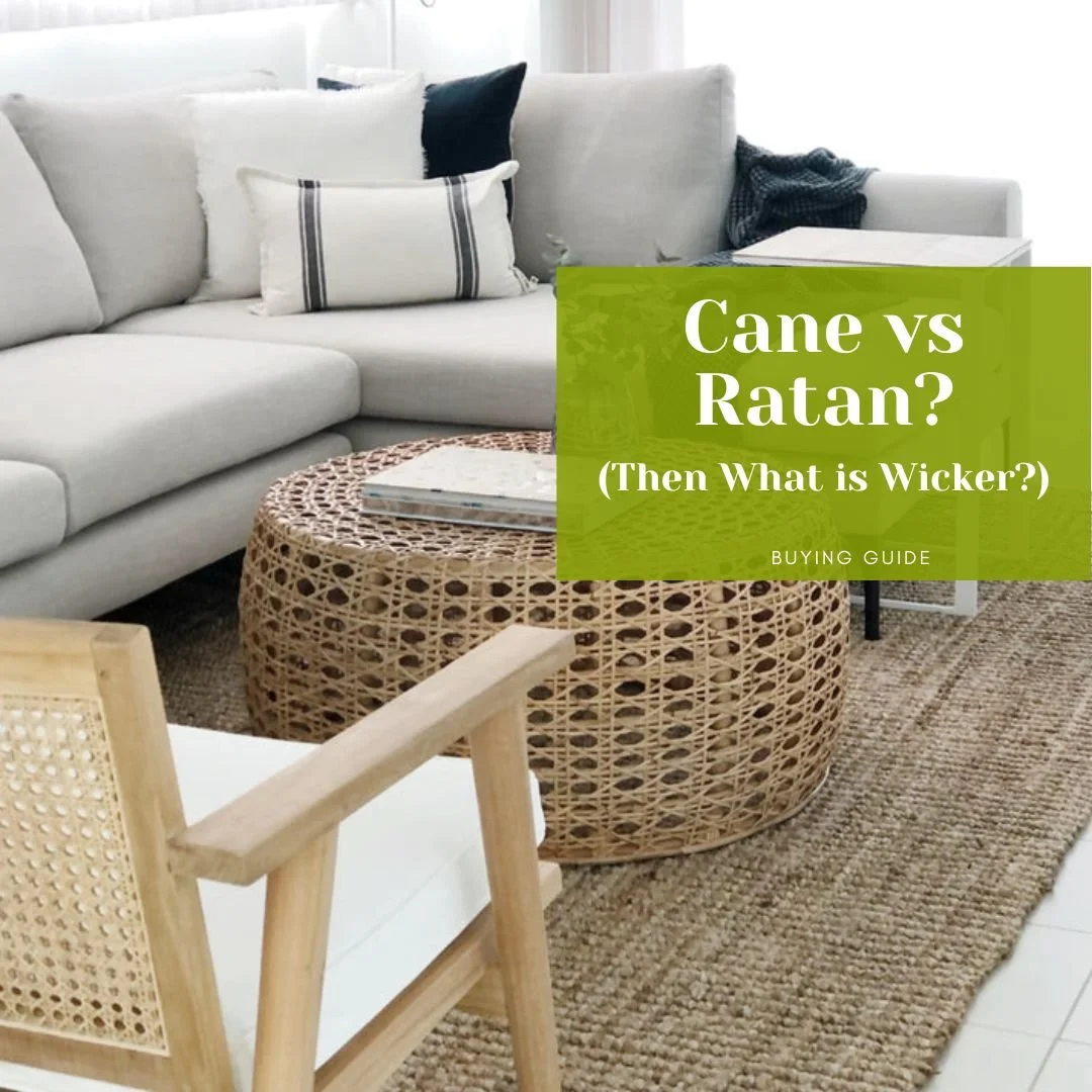 Cane vs. Rattan Furniture: What’s the Difference?