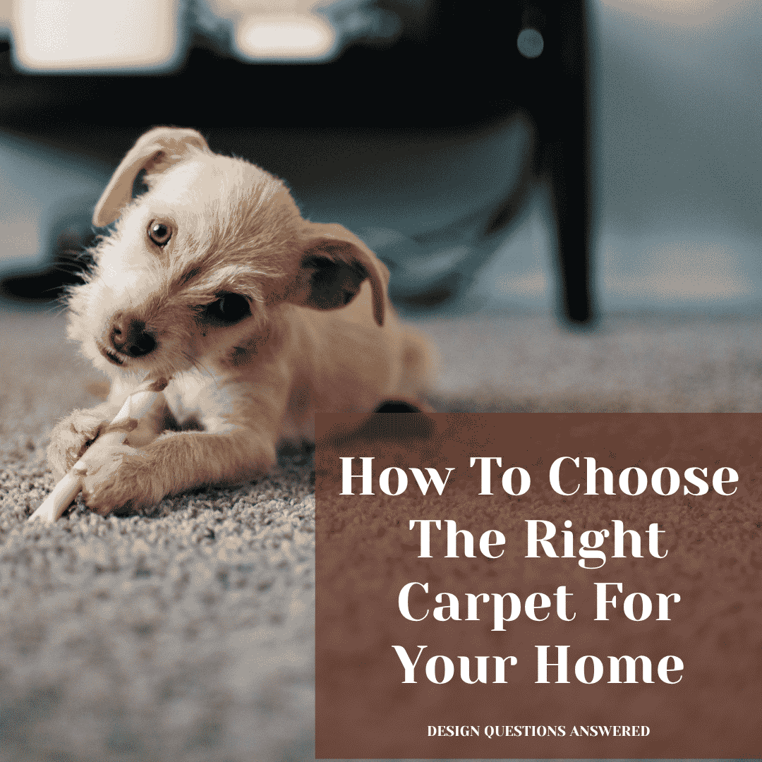 How To Choose Carpet For Your Home