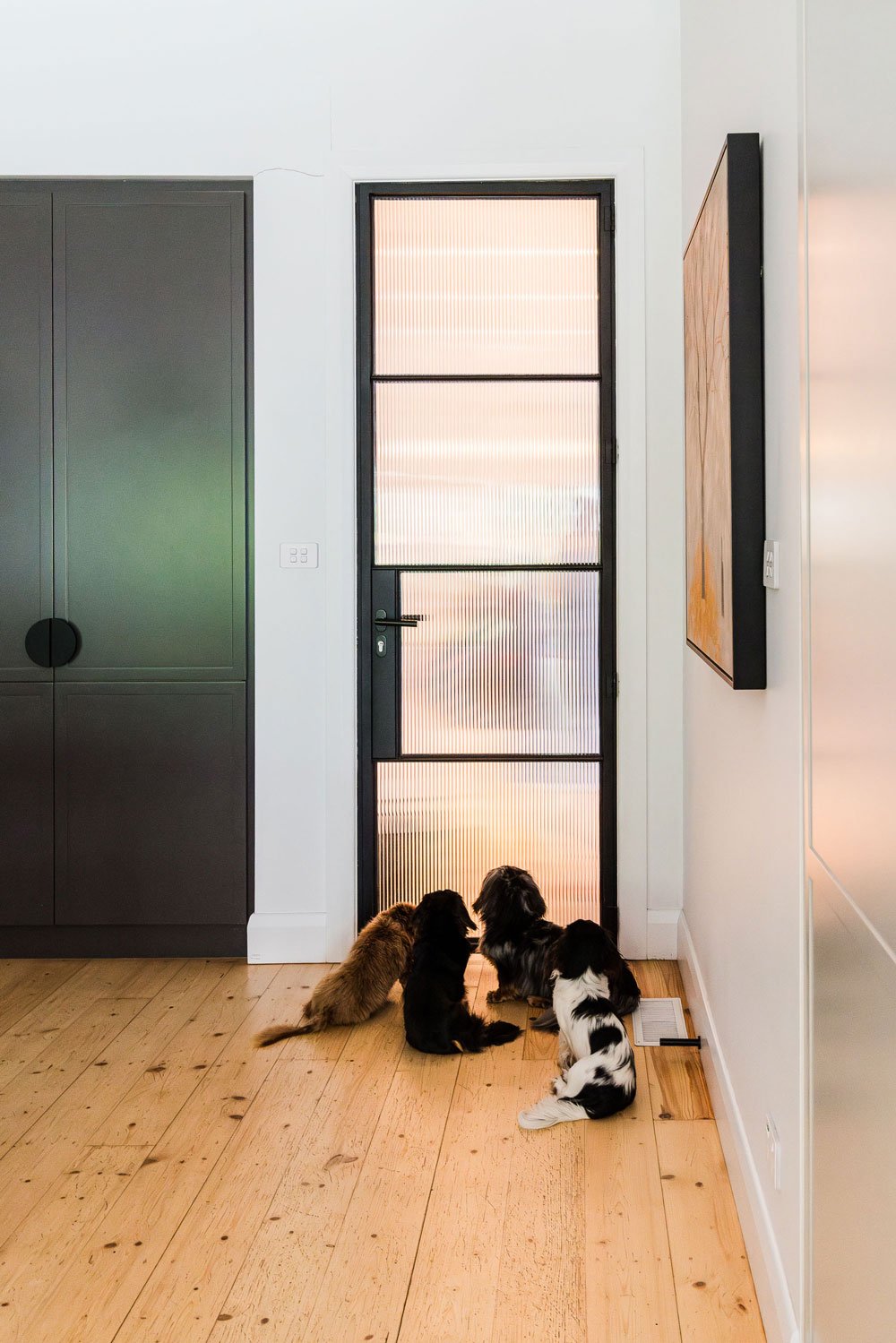 four dogs sitting waiting at a glass door