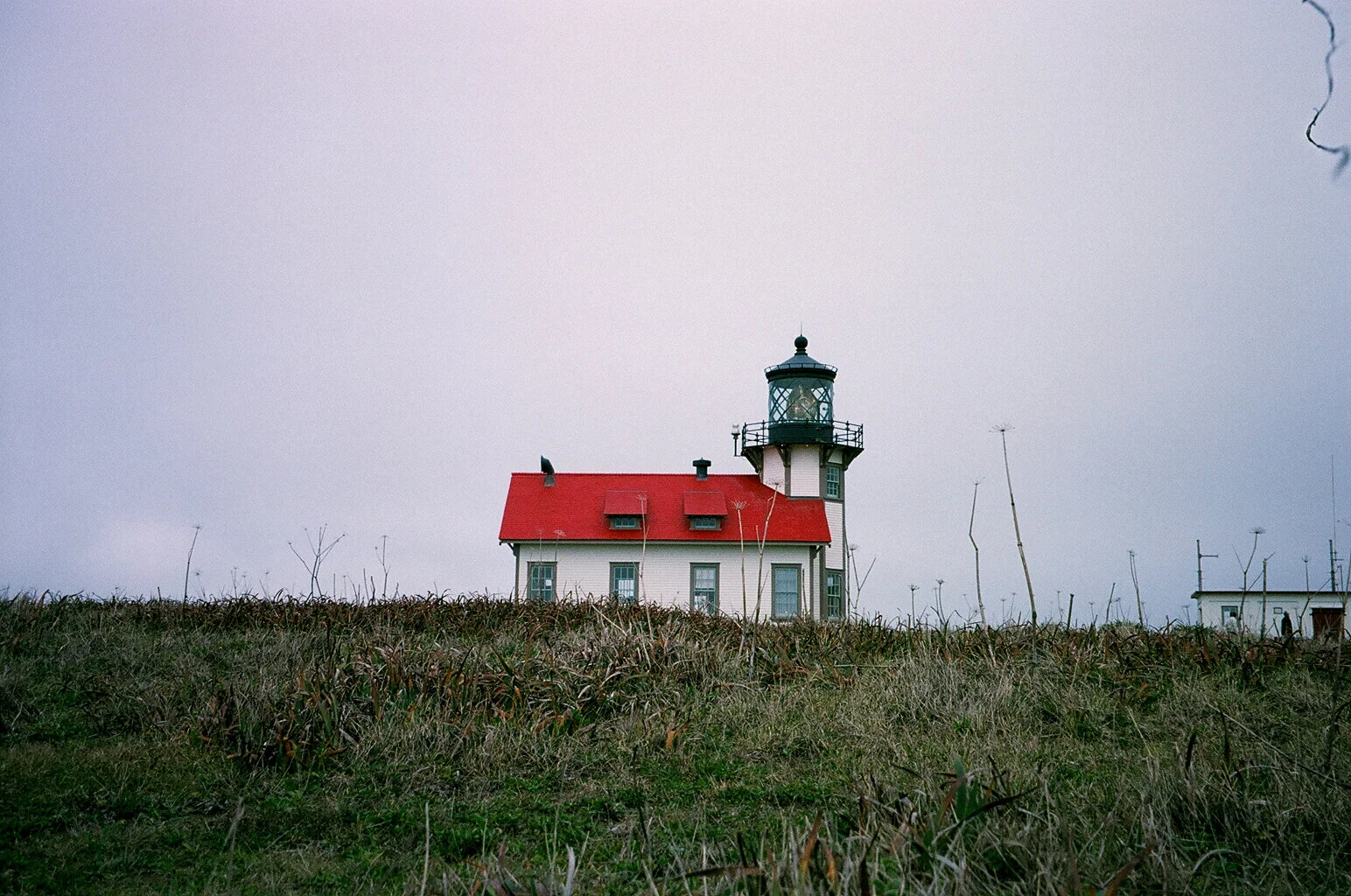 37030005.JPG