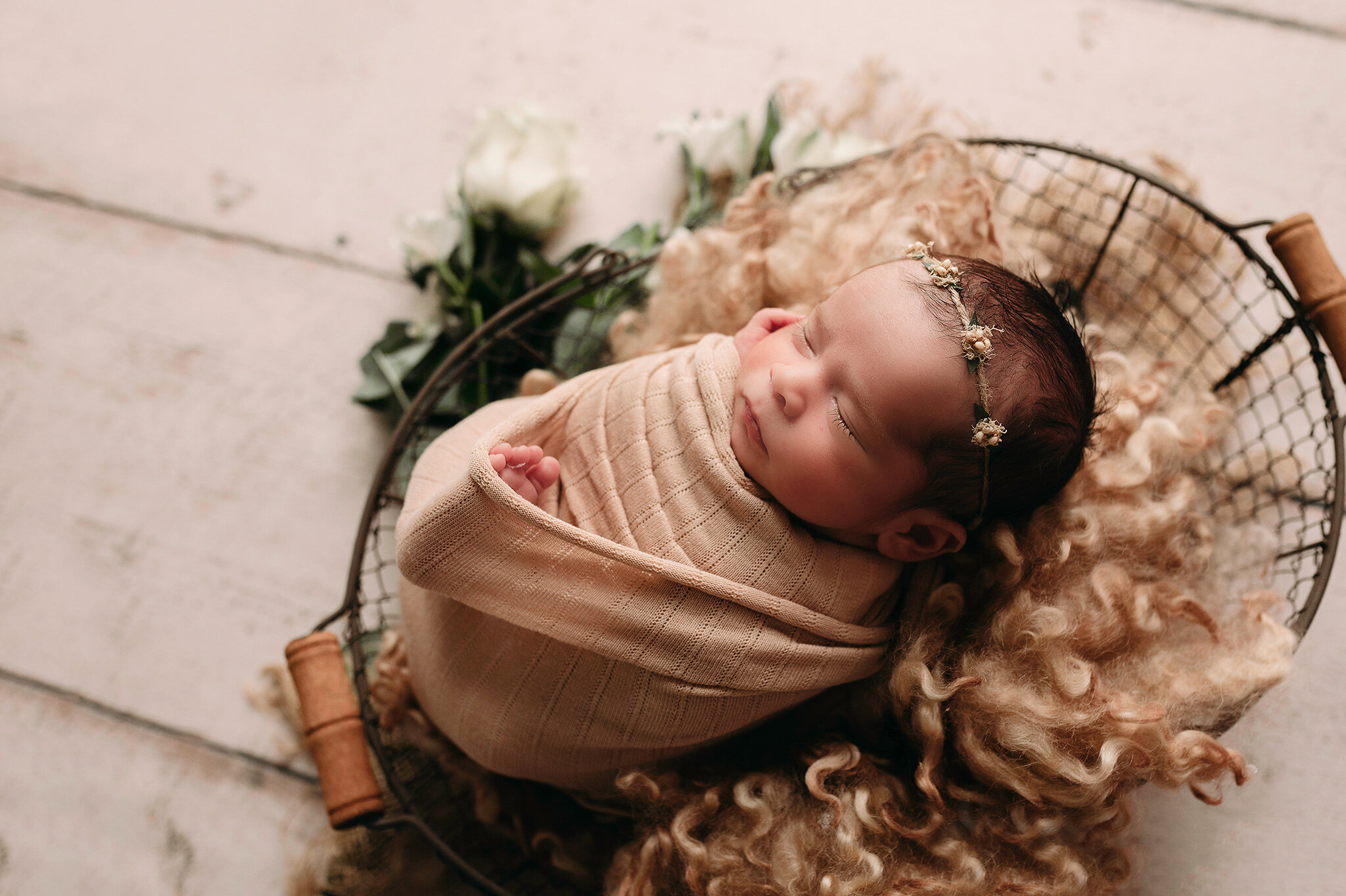 Moline, Illinois Newborn Photographer 