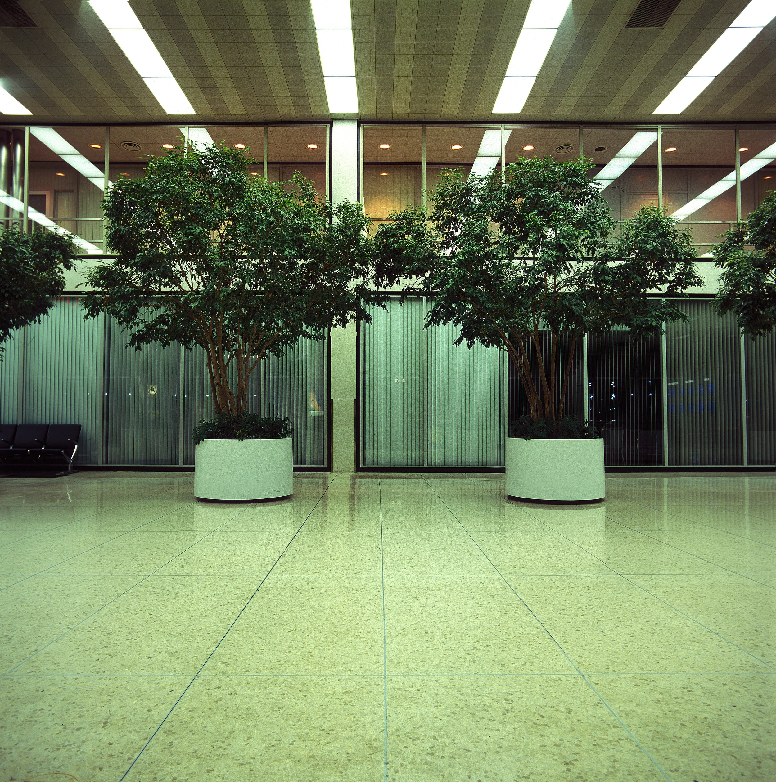 chris_eichenseer_landscape_two_plants.jpg