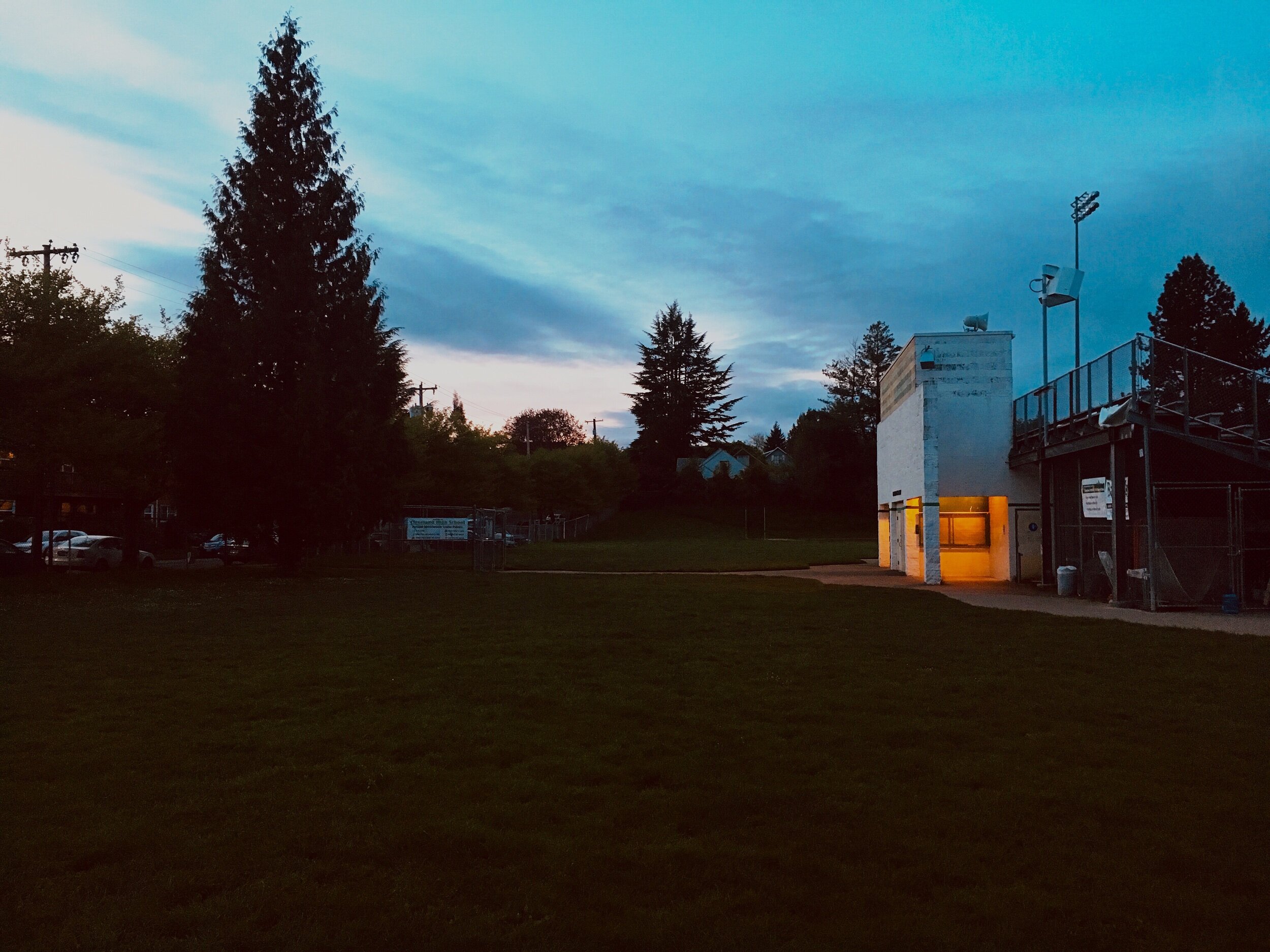 chris_eichenseer_landscape_sports_field.jpeg