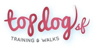 Natalie Tondelli-Walsh, CTC - “ We are incredibly grateful to Joe for the work he has done for Top Dog SF!  As our recruiter, he got our company hiring in a better place than it's ever been. Joe established systems and workflows that have improved