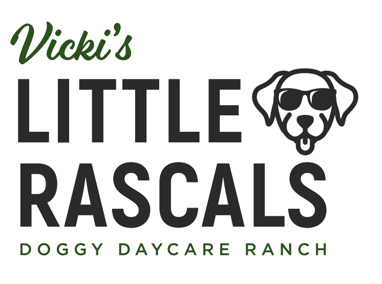  Vicki’s Little Rascals - Belmont, CA   https://www.vickislittlerascals.com/  