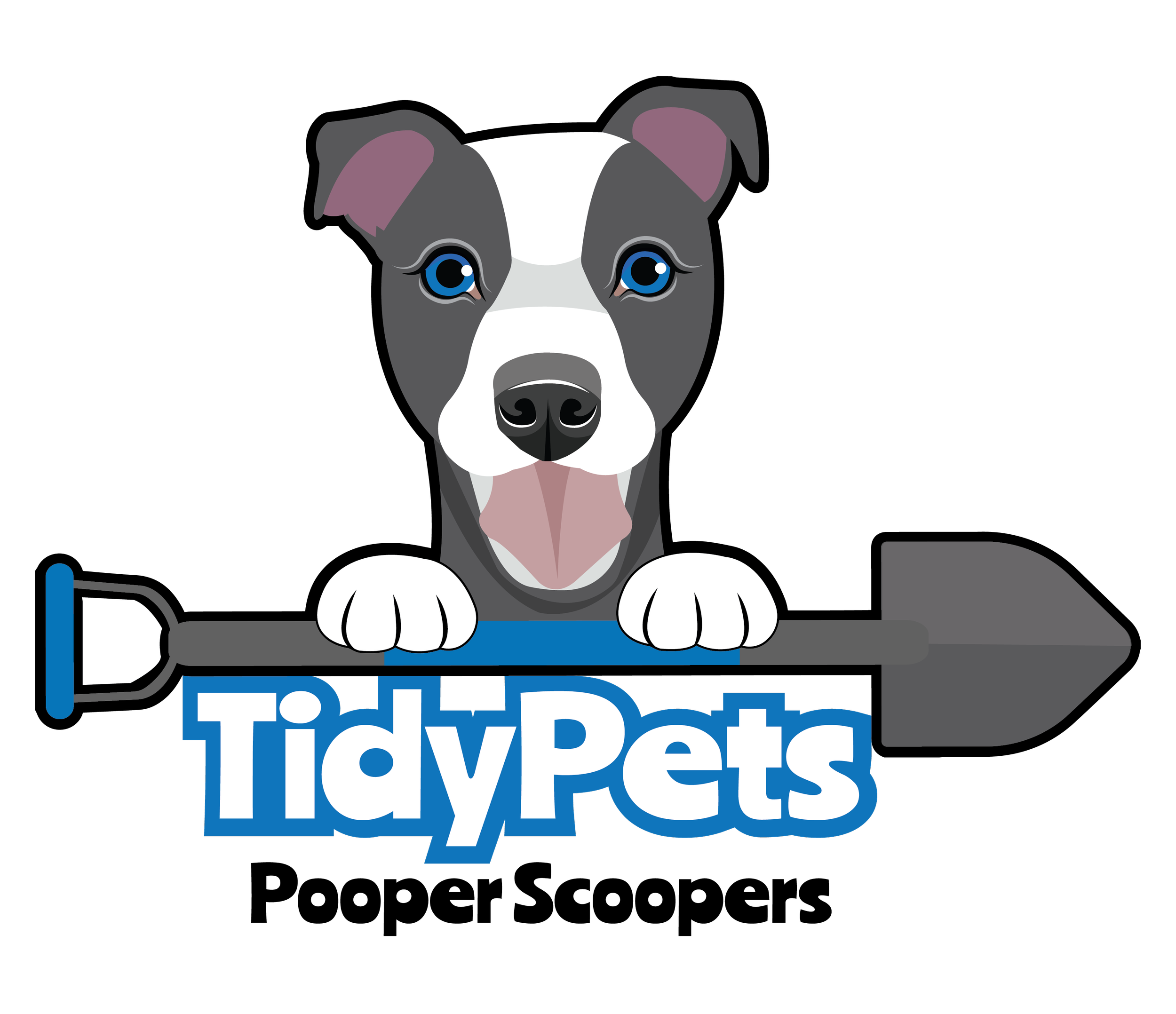  Tidy Pets Pooper Scoopers - Miami, FL   https://tidypetservice.com/  