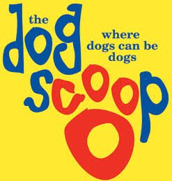  The Dog Scoop - West Newton, MA   https://www.thedogscoop.com/  