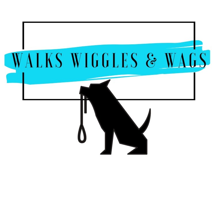  Walks Wiggles Wags - Morris County, NJ  https://www.walkswiggleswags.com/ 
