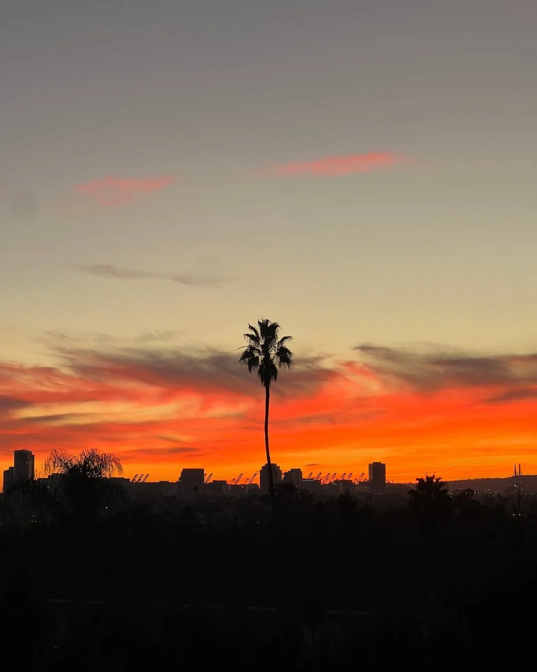 Weekly photo dump 001 🌞💕✨

#candlesofinstagram