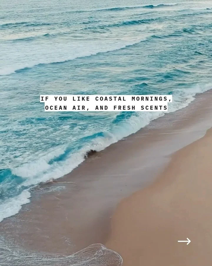 A candle for every mood. Swipe to find your match.🌊🌿✨

#candlesofinstagram