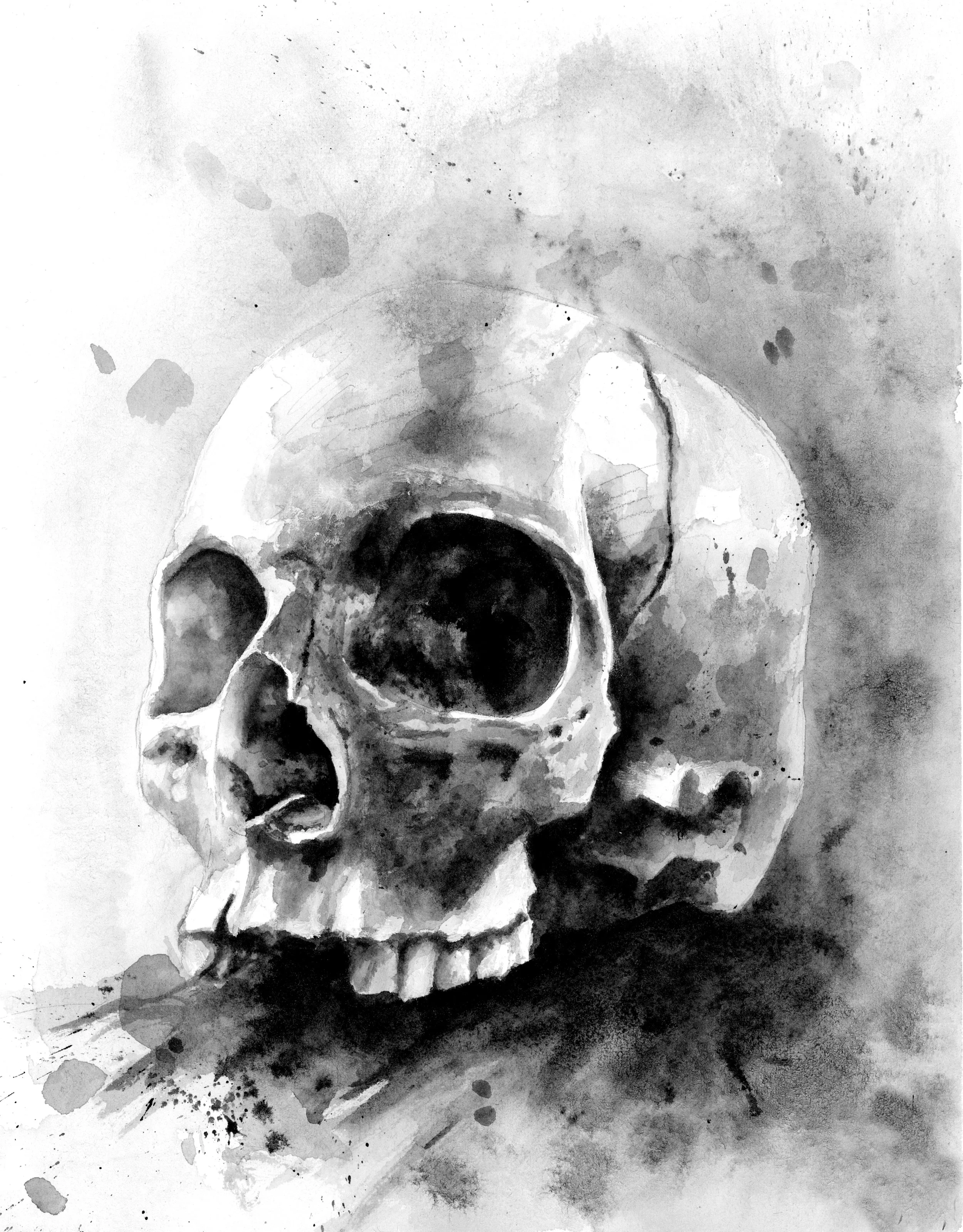 Ihmisen No.5