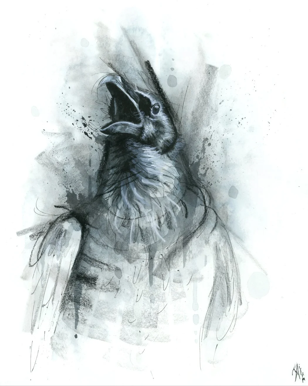 wc crow edit Reduced.jpg
