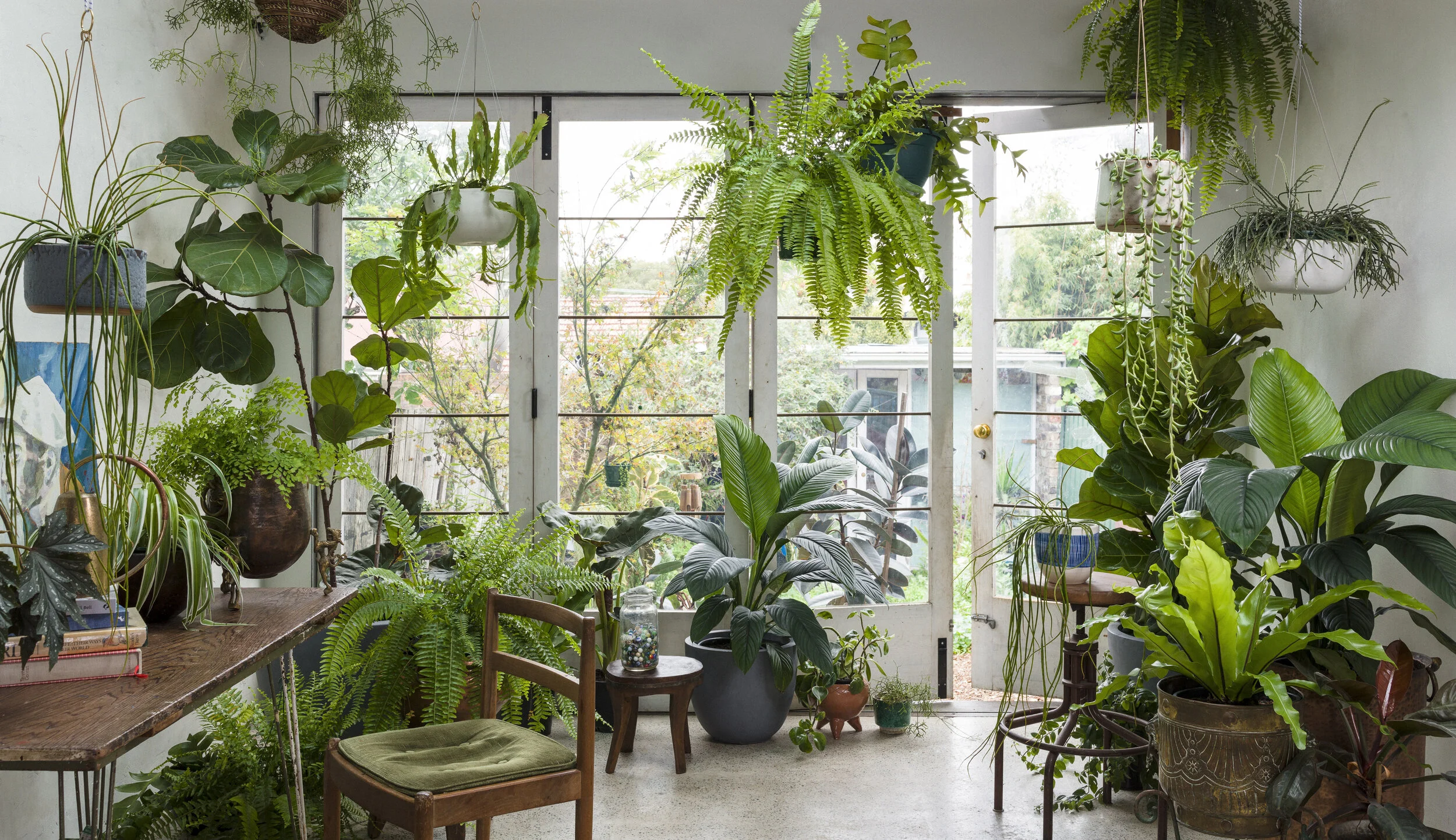 STYLE_FILES_Jungle_Vibes_7270.jpg