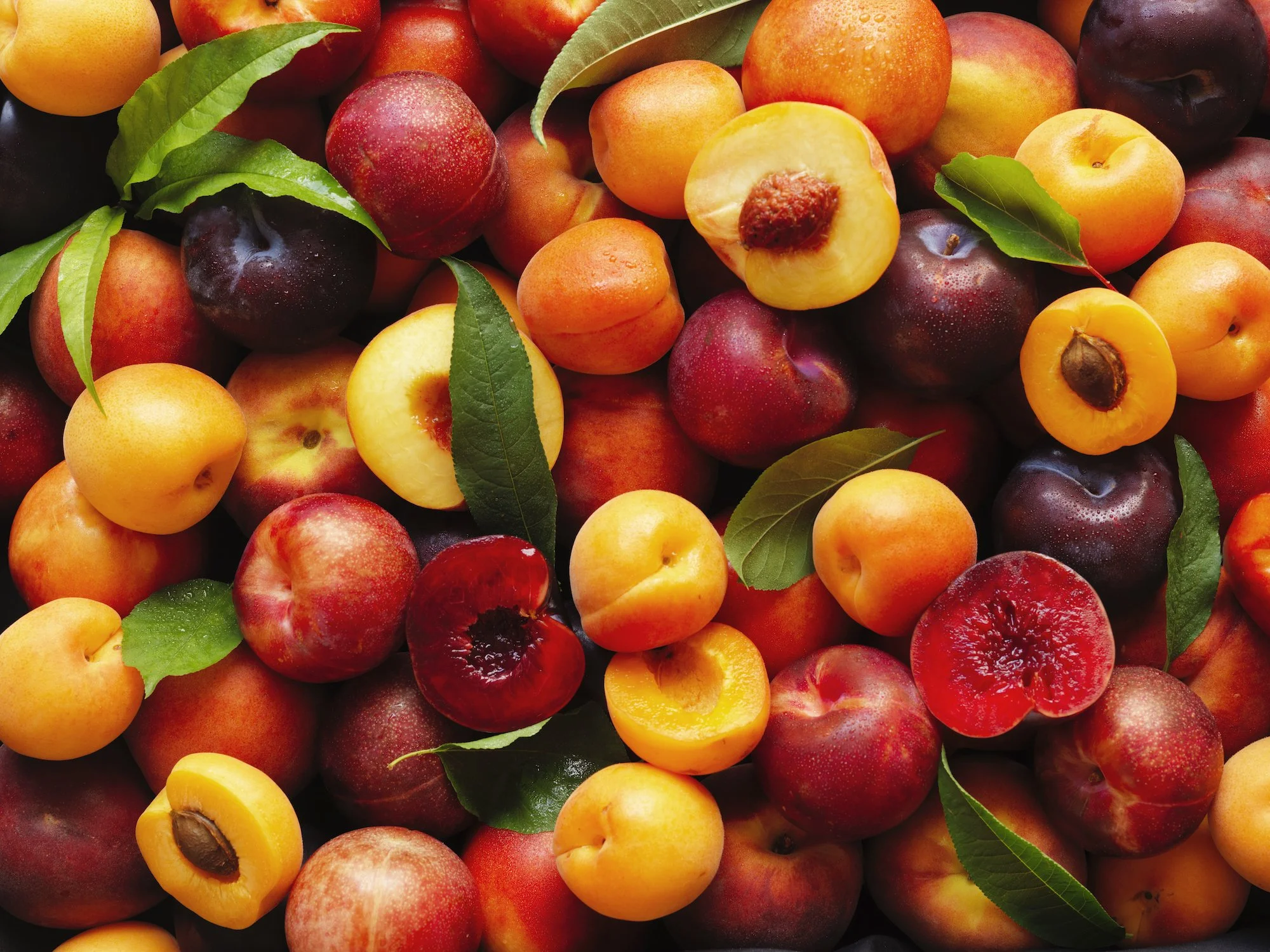 mixed stonefruit ID_0241 copy.jpg