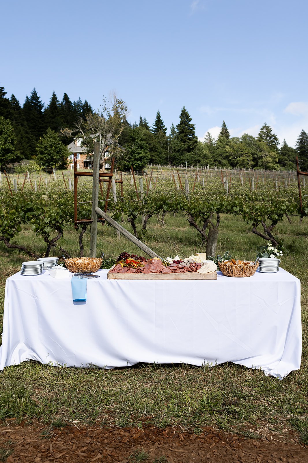 large grazing board display for wedding event in portland oregon