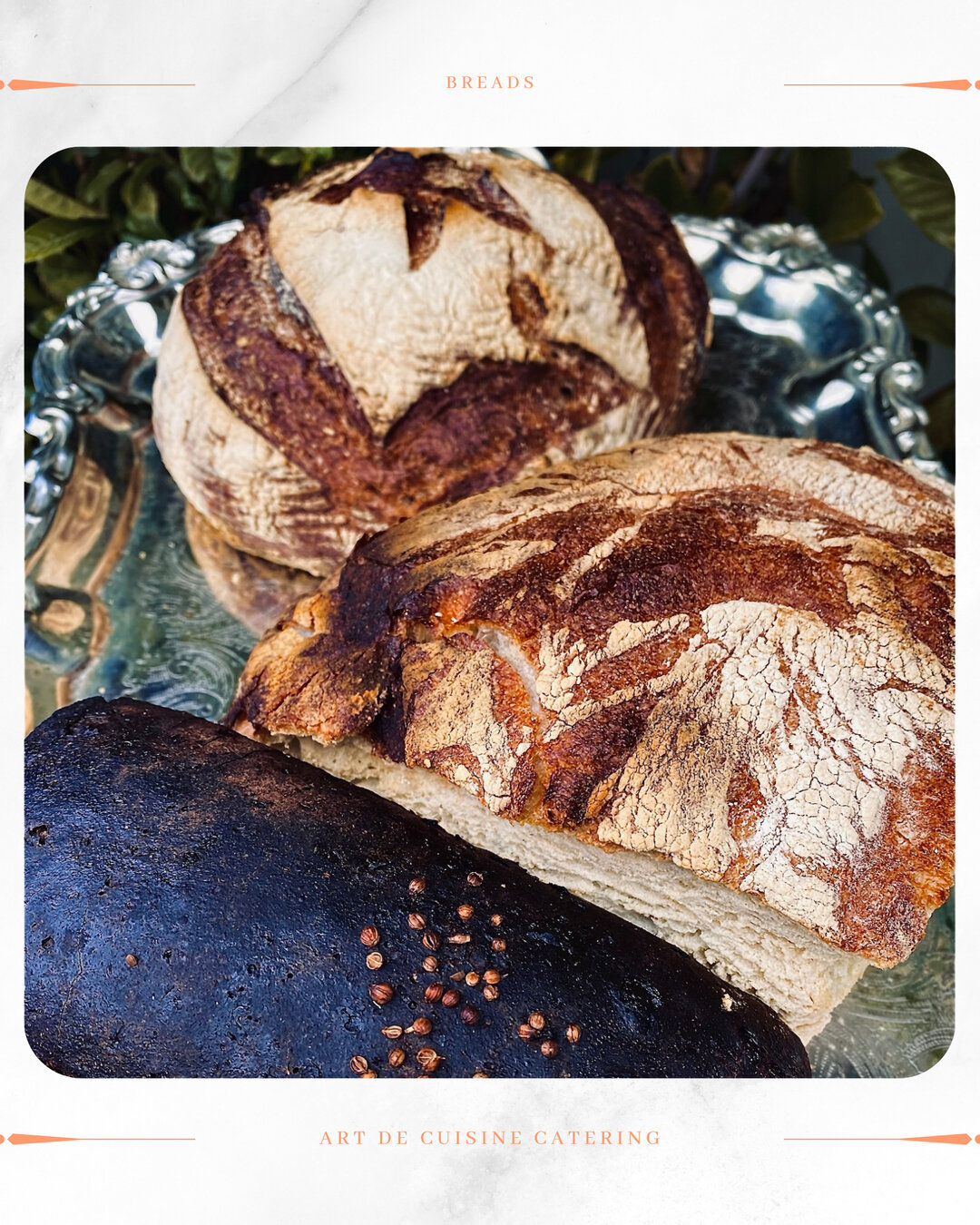 Craving some comfort? Check out these irresistible salty crusty breads! 🍞✨ ​​​​​​​​​
These heavenly loaves boast the perfect balance of a golden, crisp exterior and tender, fluffy inside. 

They're always a soul-warming treat that brings everyone cl