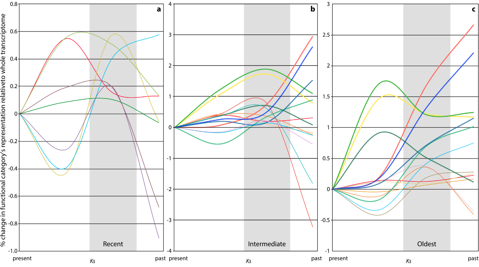 Differential gene retention and loss following WGDs in the Compositae (Sessa et al. in prep).