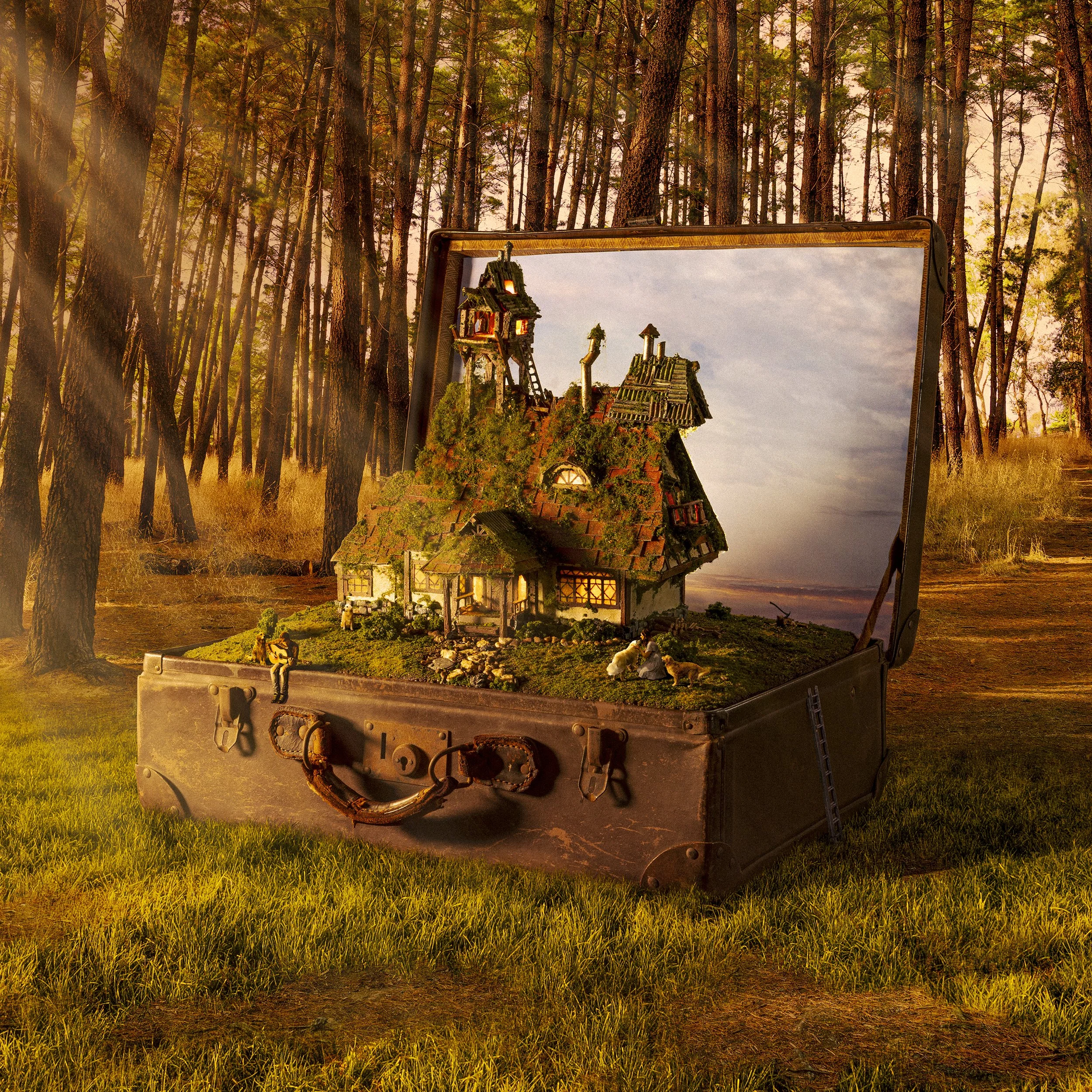 Cabin Full Sequence 8 copy.jpg