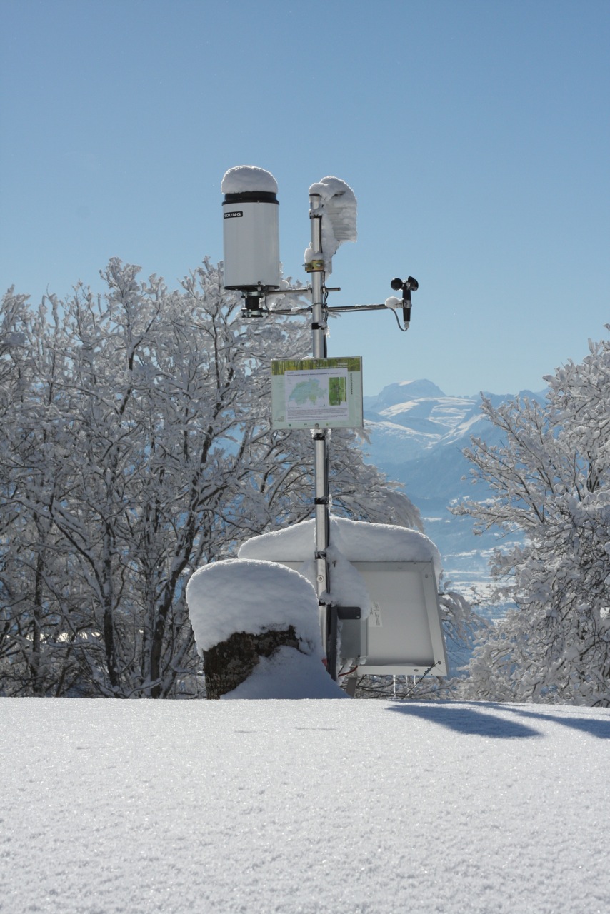 Bachtel, Switzerland