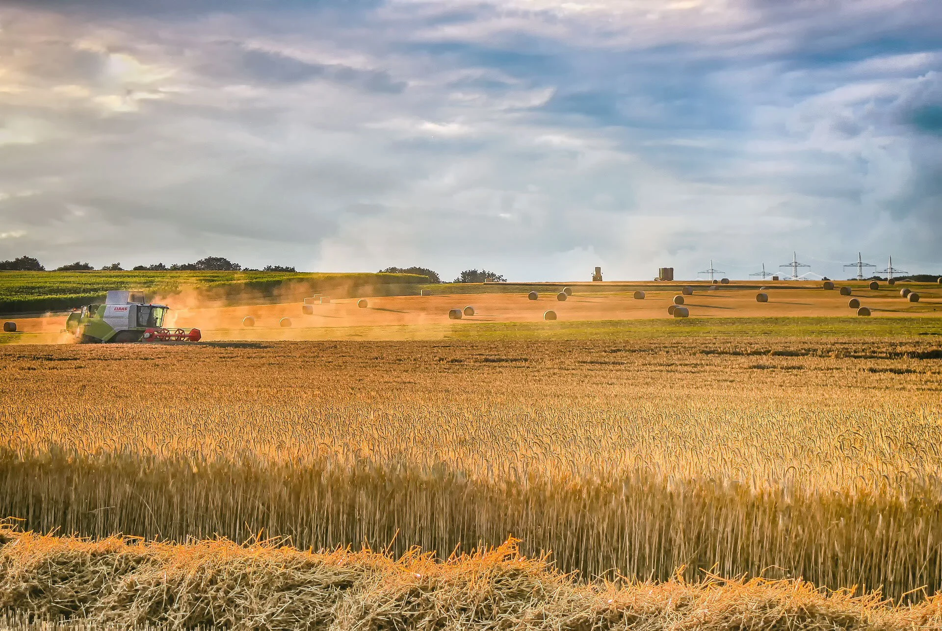 Picture_Agriculture.jpg