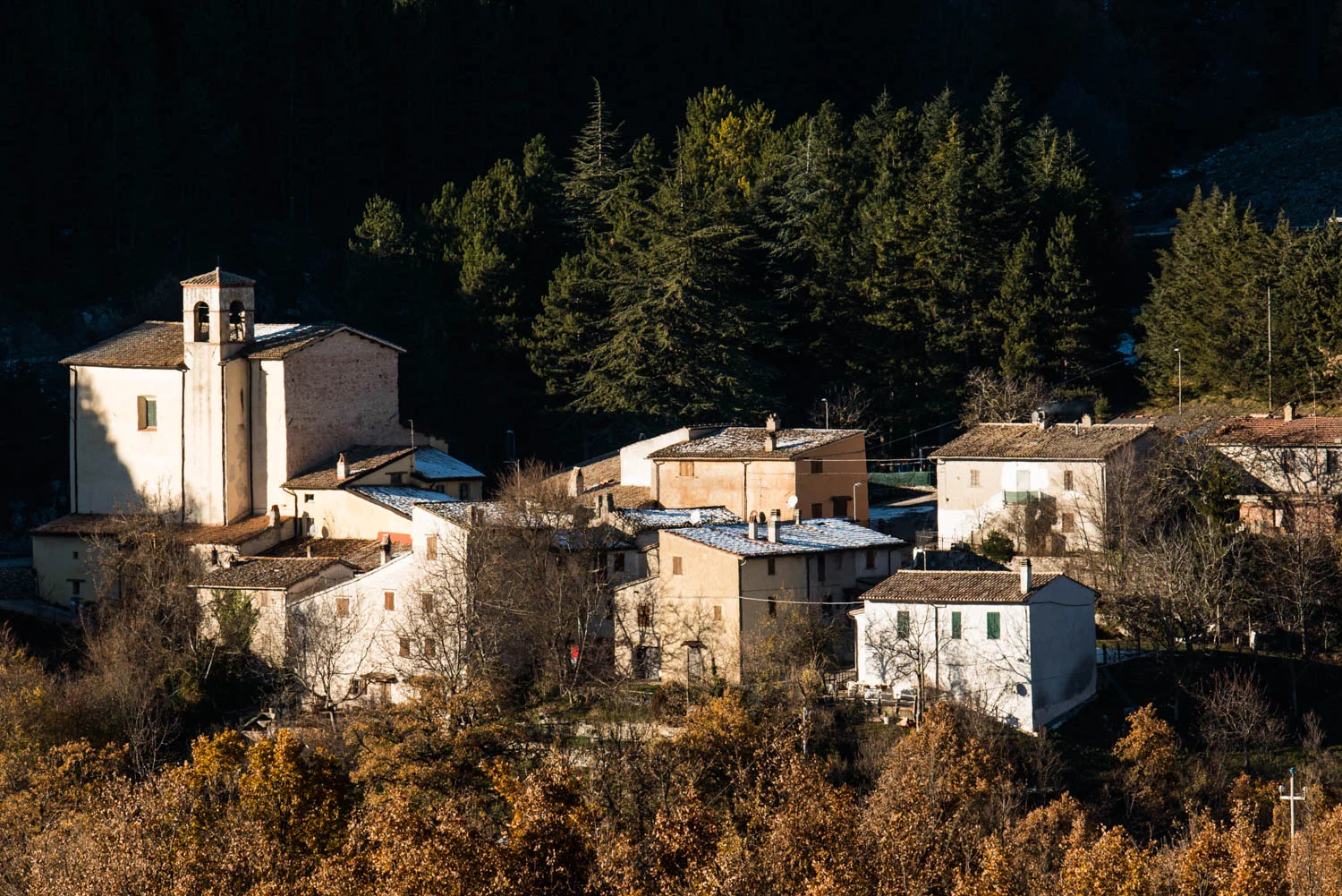 Cancelli_il Terzo Paesaggio -cancelli cancelli (26).jpg