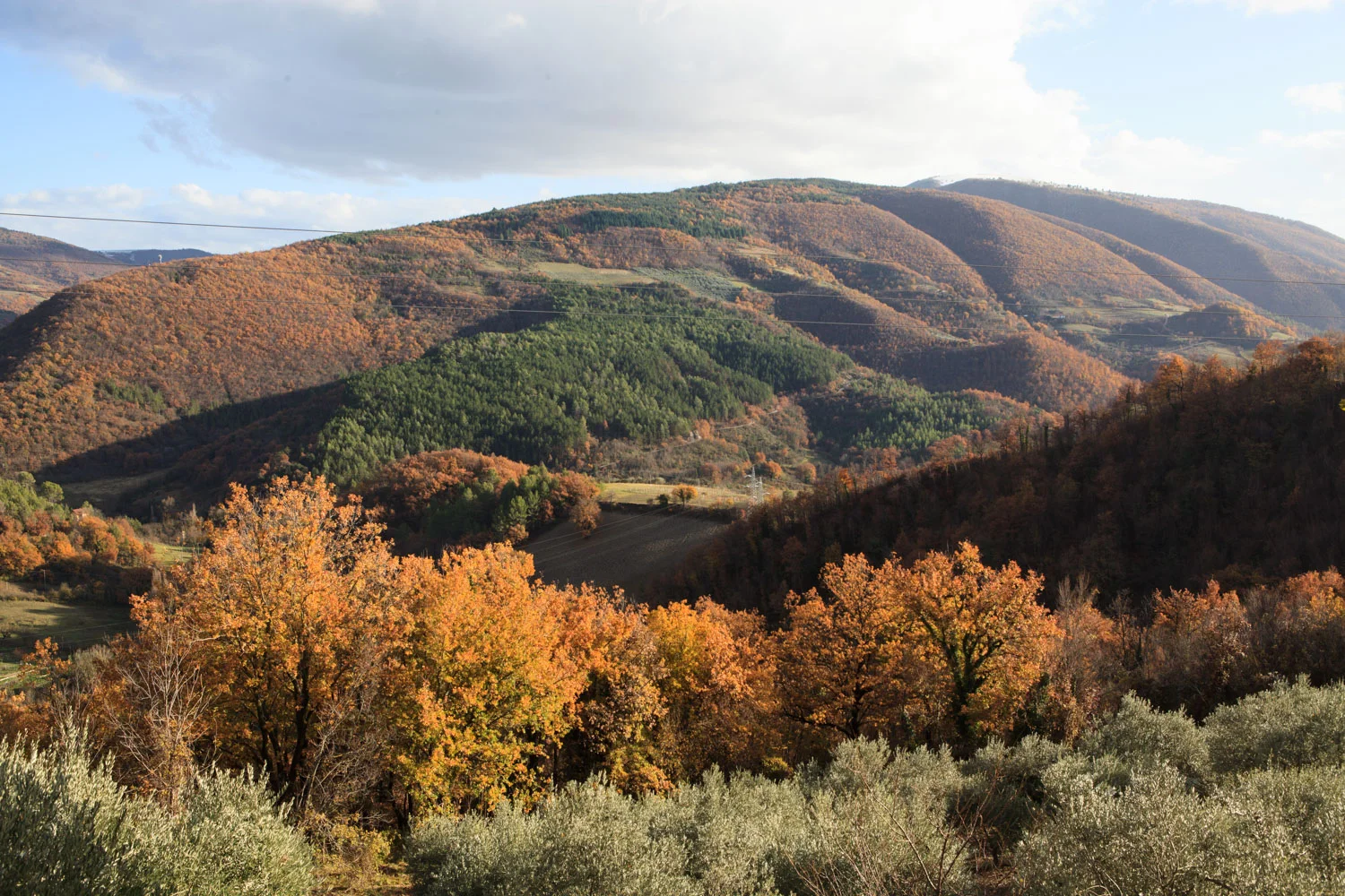 Nocera-Umbra - il Terzo Paesaggio -_MG_0580.jpg