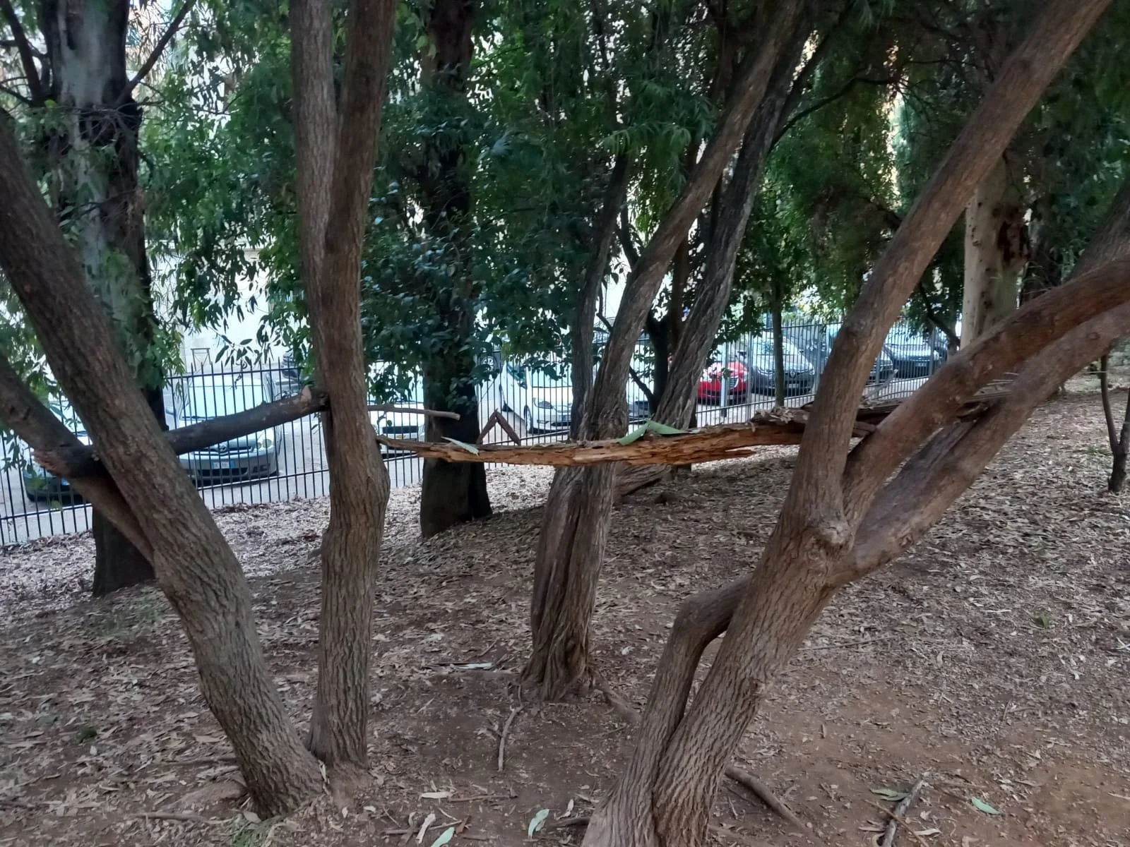 WhatsApp Image 2025-10-20 at 19.04.45.jpeg