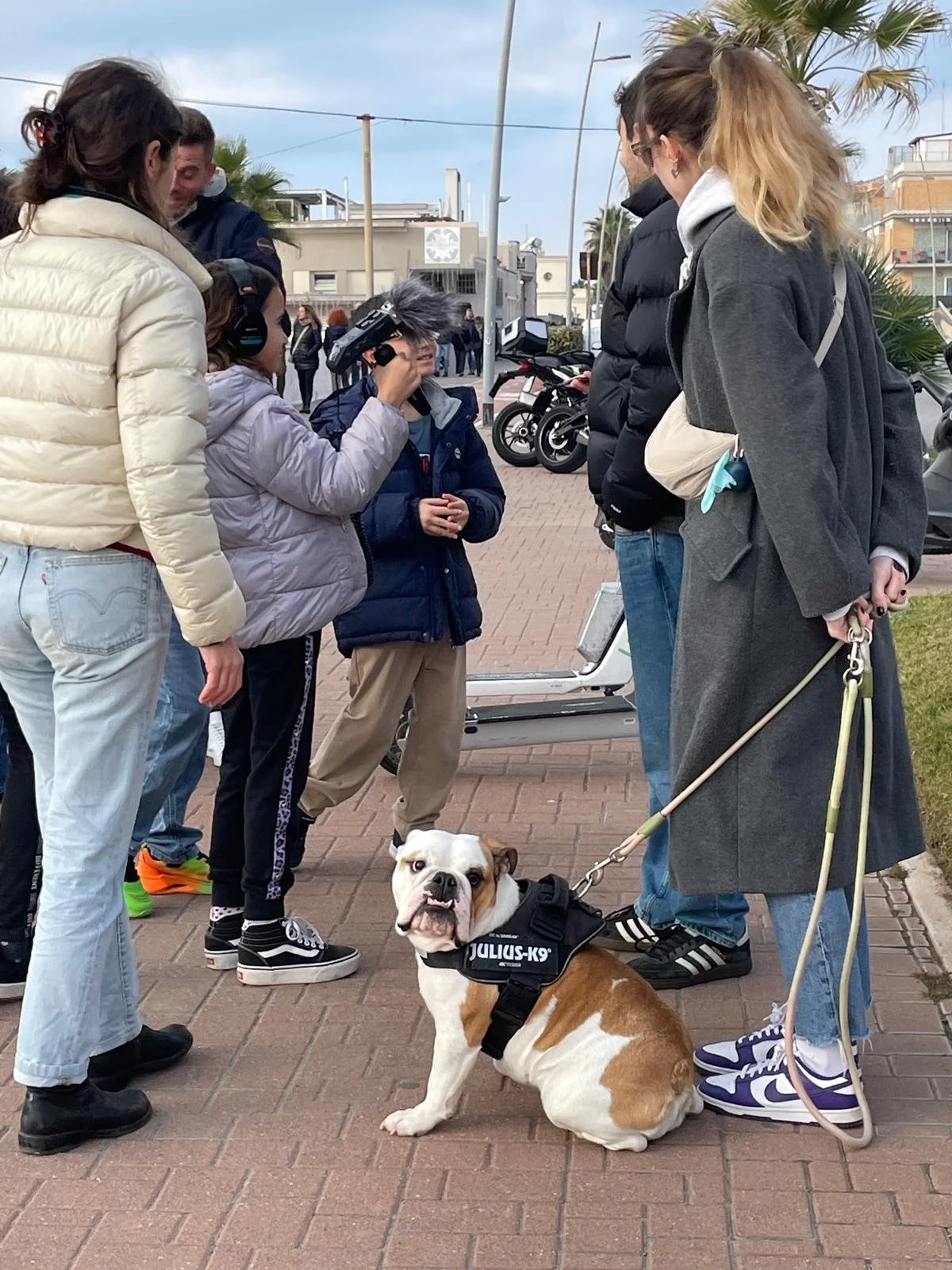 WhatsApp Image 2025-12-14 at 20.18.45.jpeg