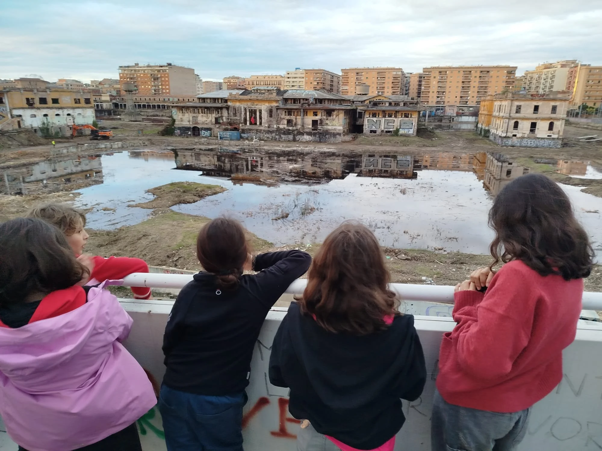 WhatsApp Image 2026-02-09 at 21.25.12.jpeg