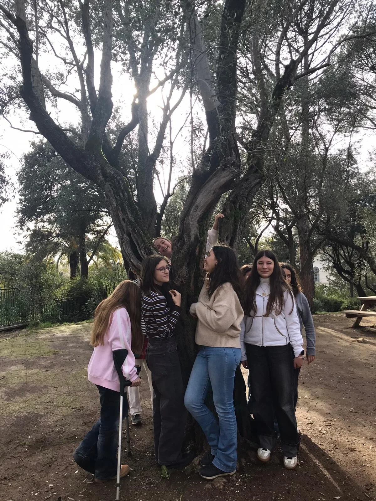 WhatsApp Image 2026-02-13 at 16.25.56.jpeg