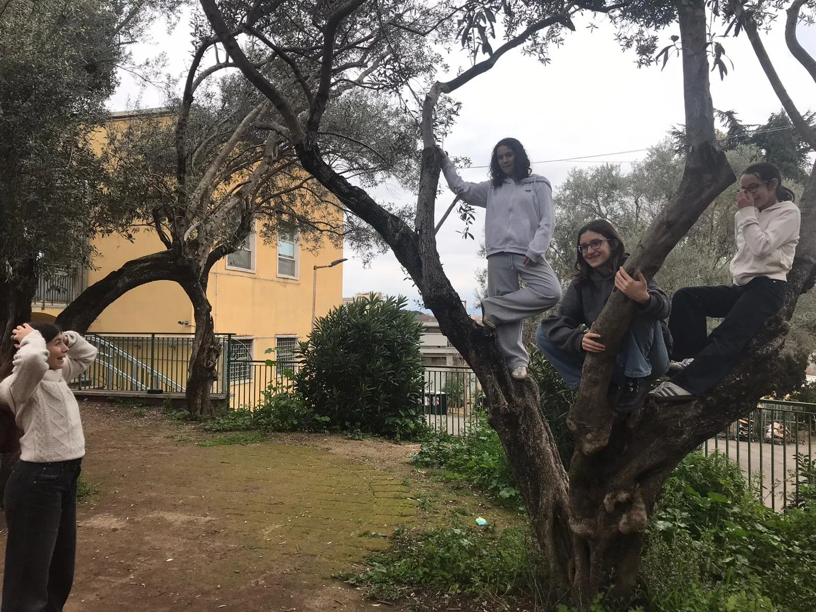 WhatsApp Image 2026-03-06 at 12.24.38.jpeg