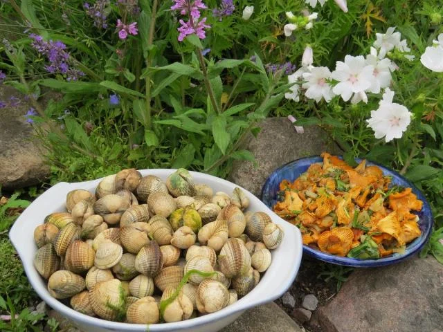 cockles_and_chanterelle.jpg