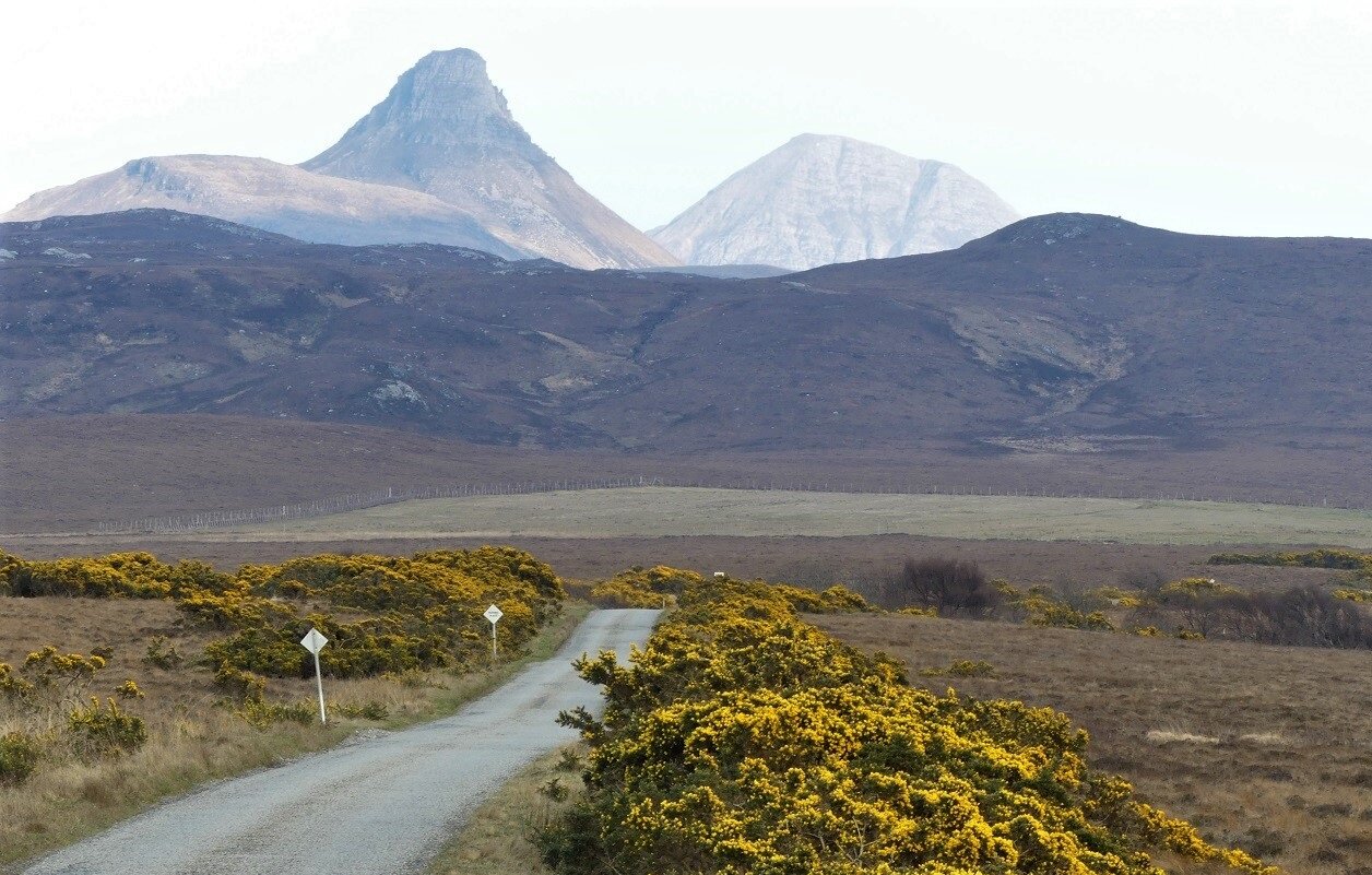 Road framed in gorze.jpg