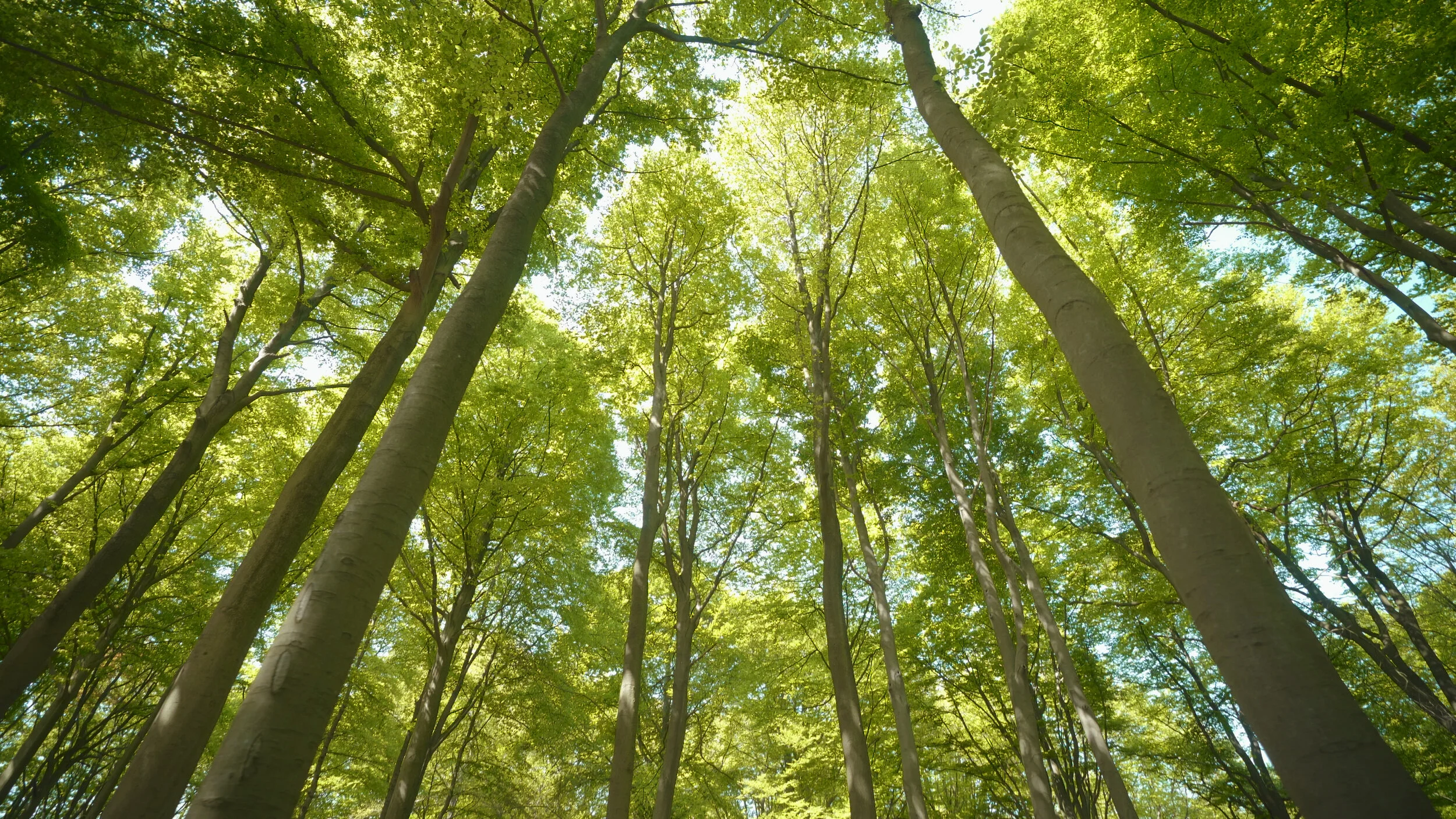 Op zoek naar versterking van natuur en landschap