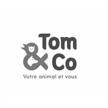 Tom & Co