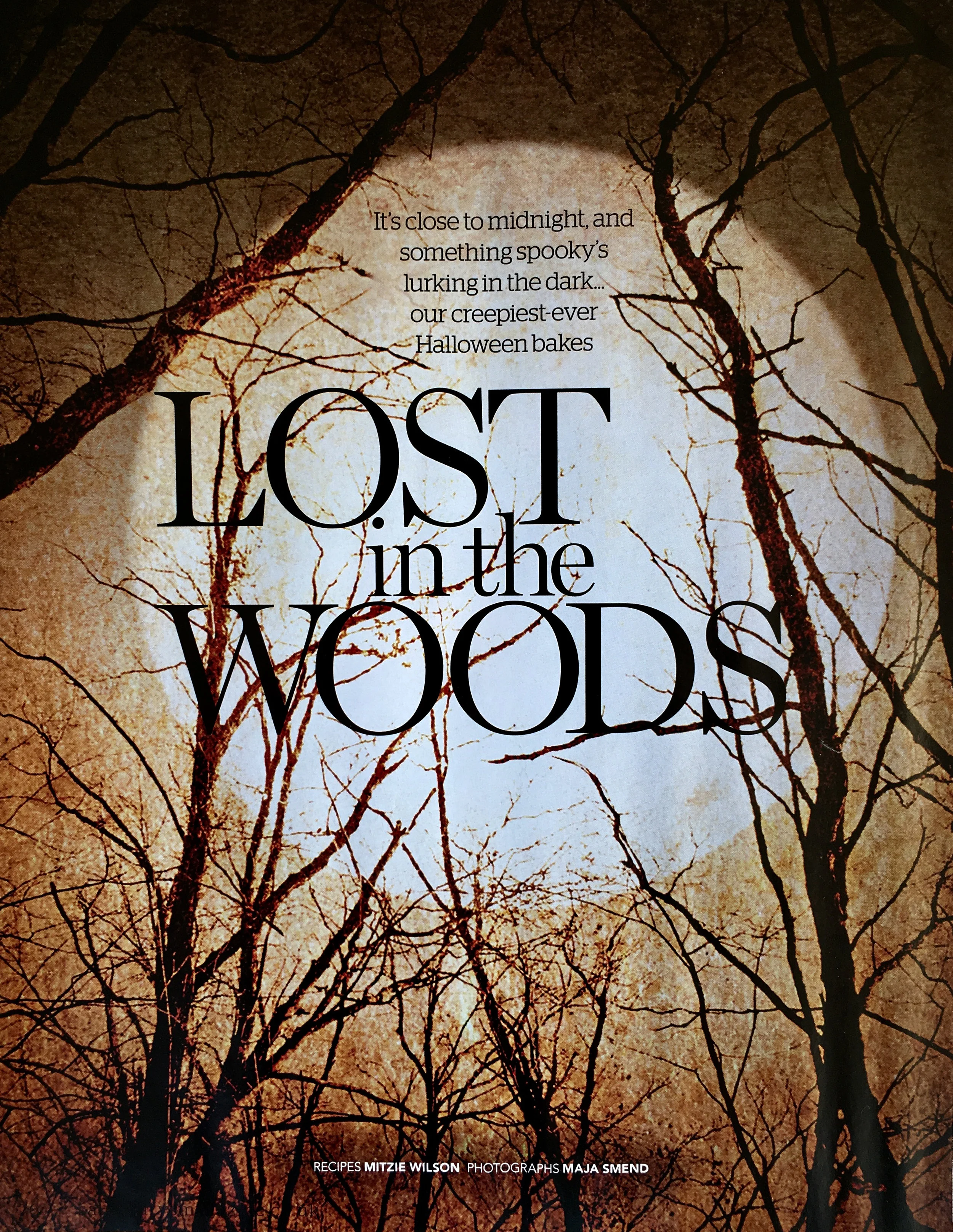 Lostinthewoods.jpg