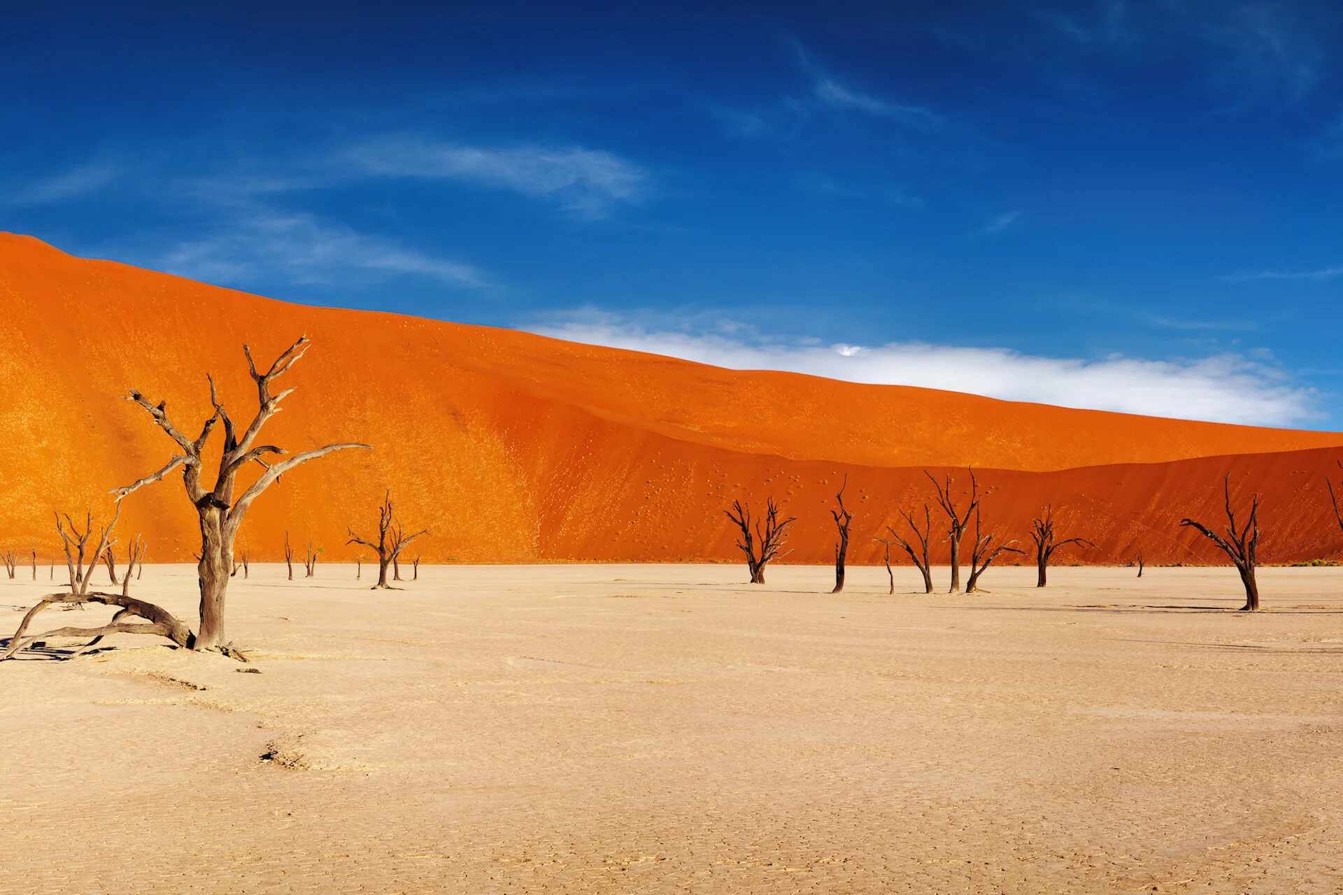 Namibia.jpeg