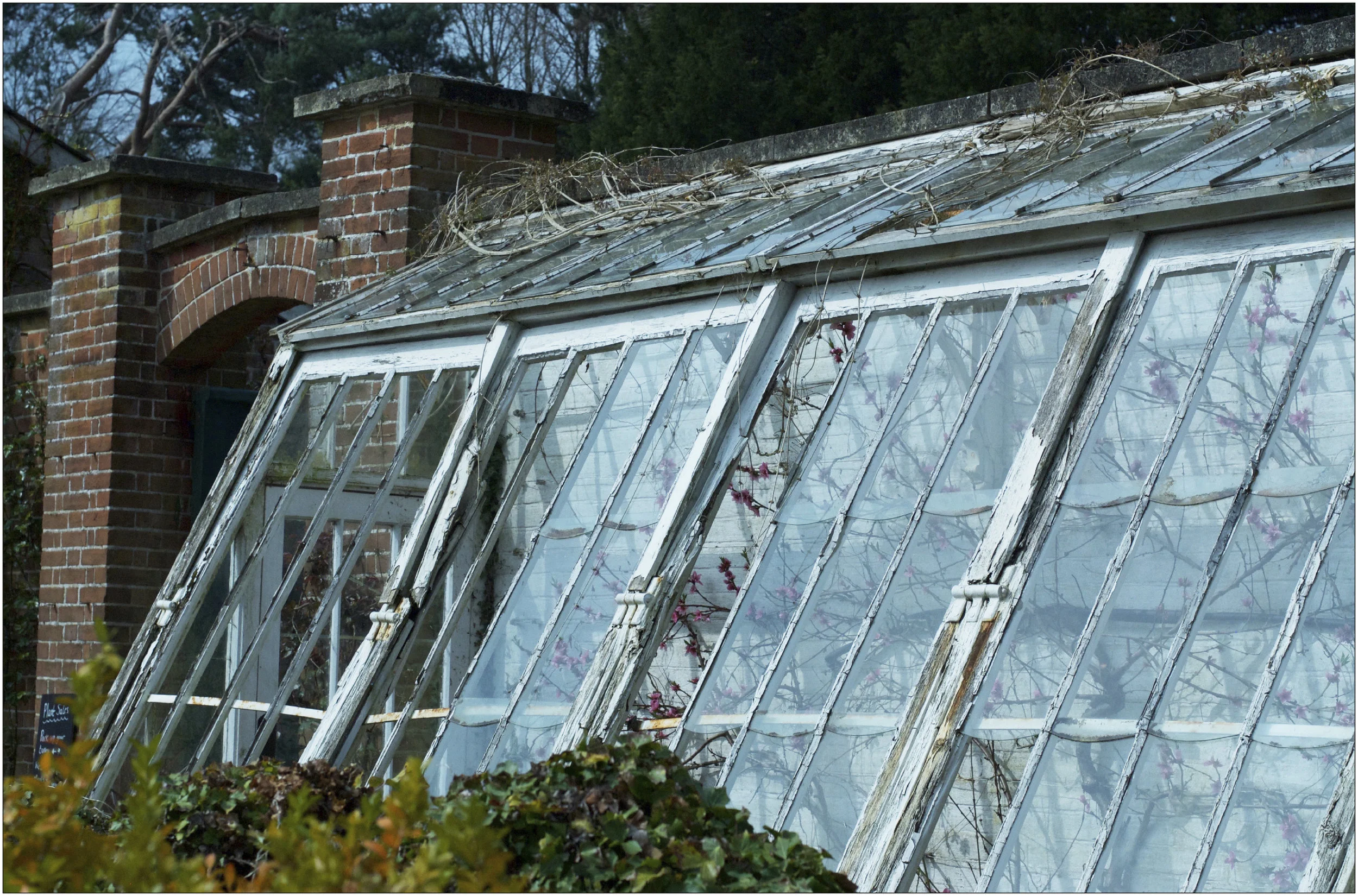 WALLEDNURSERY-1.jpg