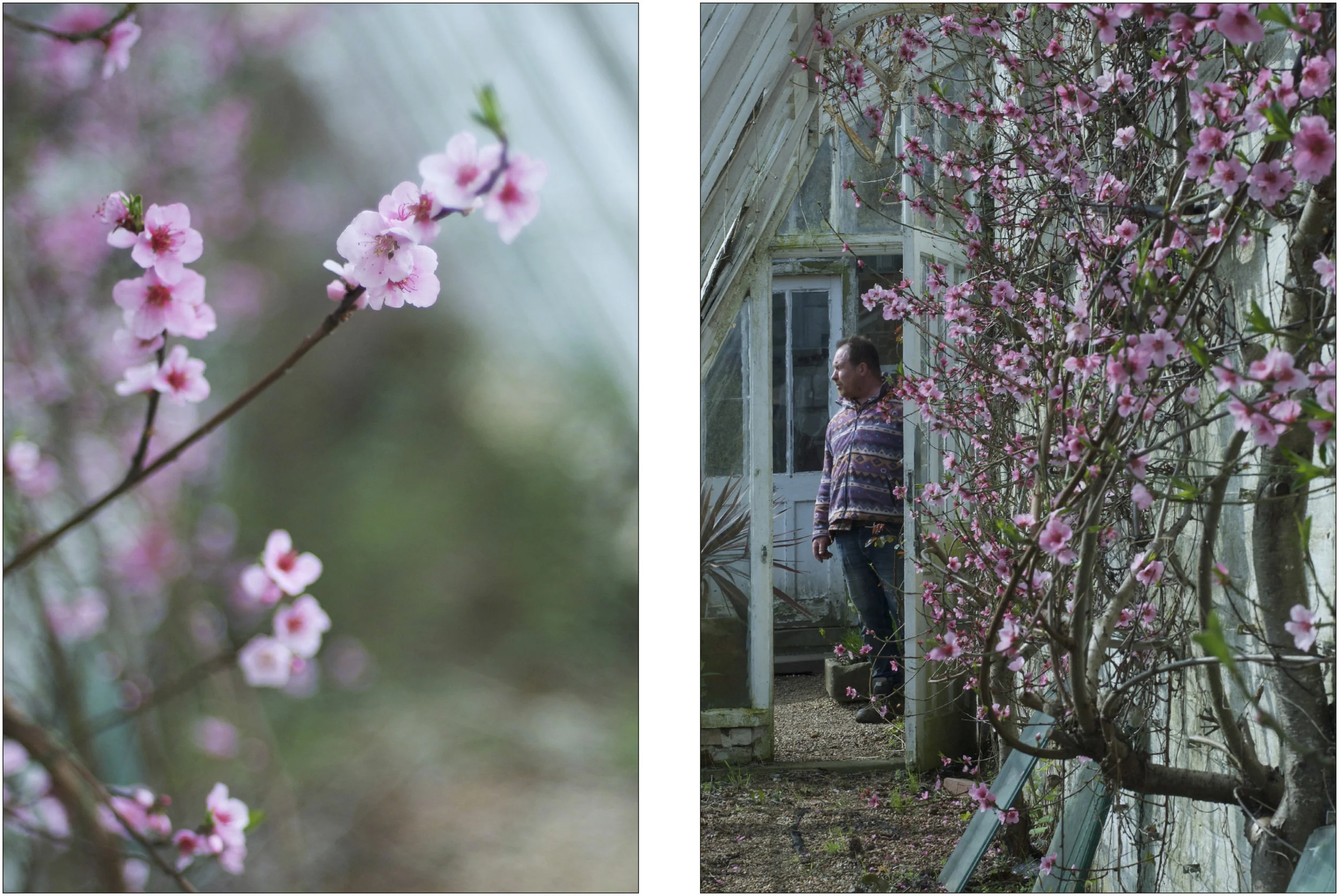 WALLEDNURSERY-2.jpg